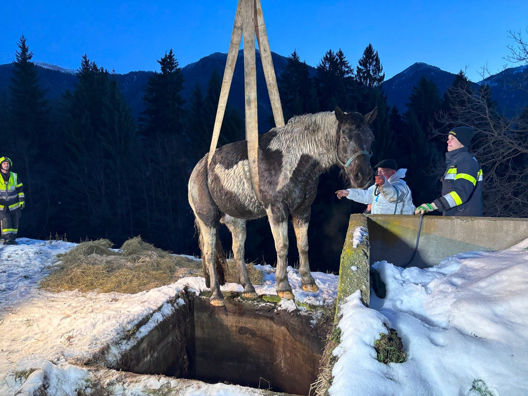 Rettung im Morgengrauen per Kran.