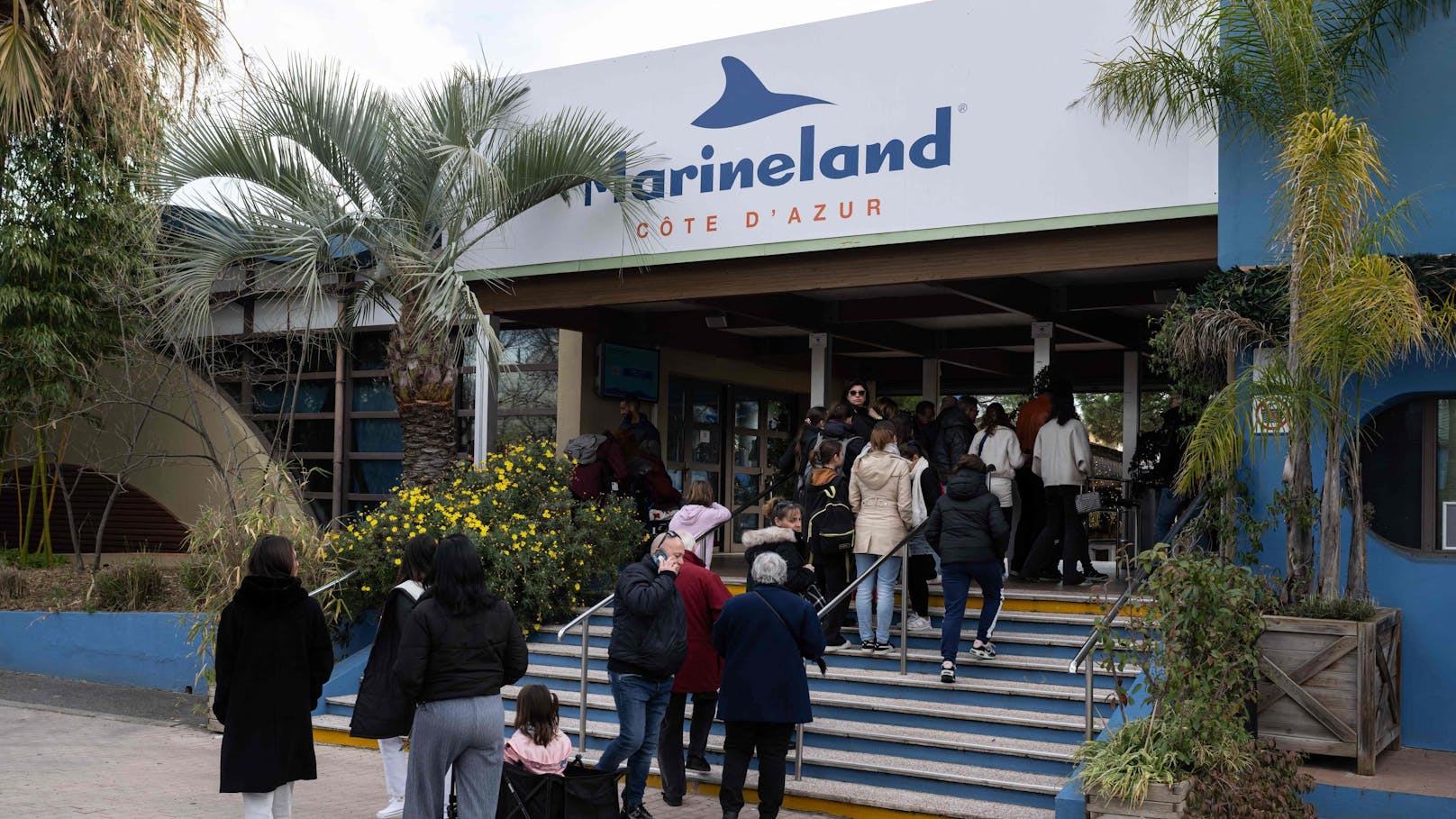 Der größte Meereszoo Europas - das Marineland in Frankreich - schließt am 5. Jänner 2025 endgültig.