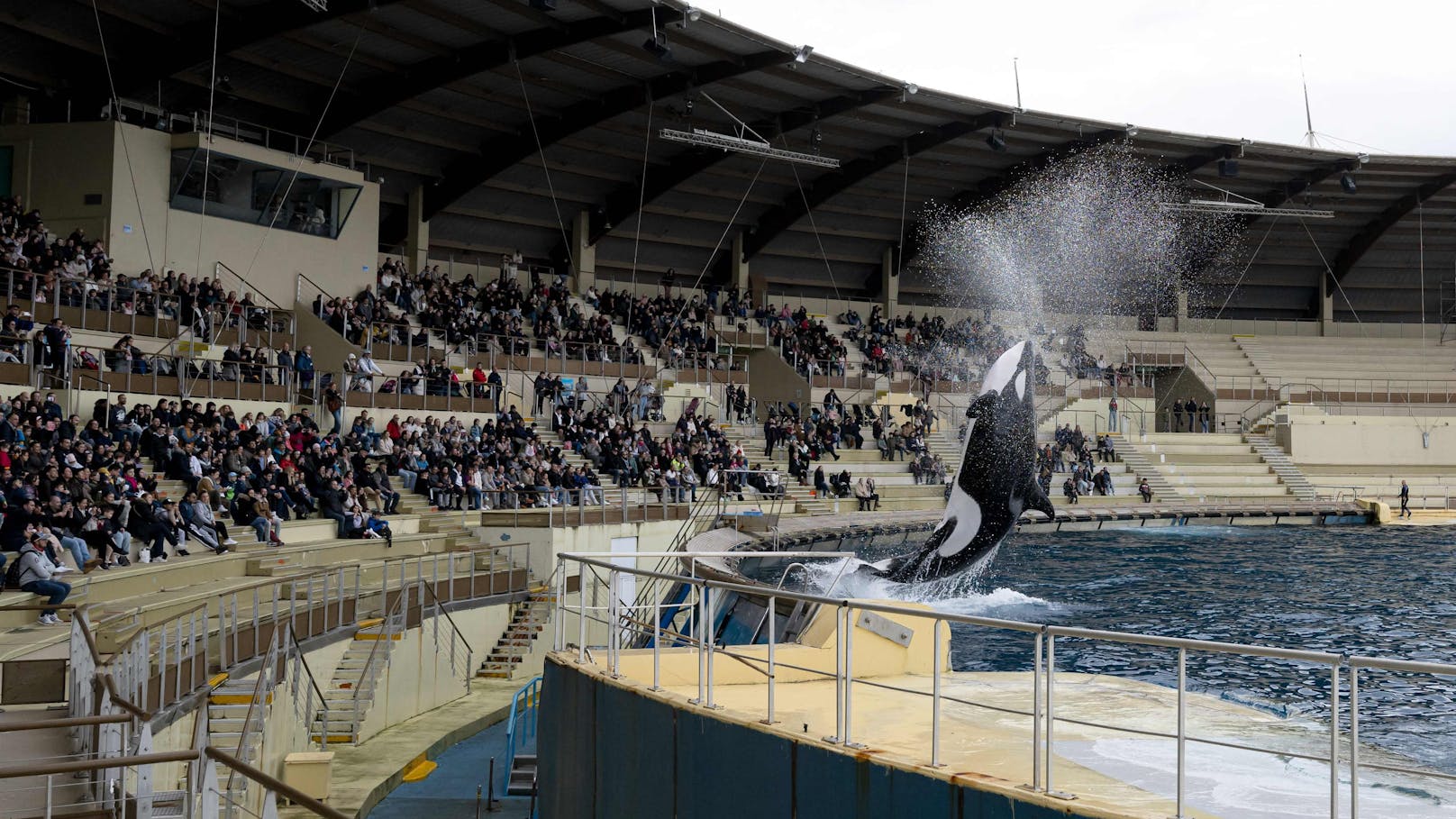 Der größte Meereszoo Europas - das Marineland in Frankreich - schließt am 5. Jänner 2025 endgültig.