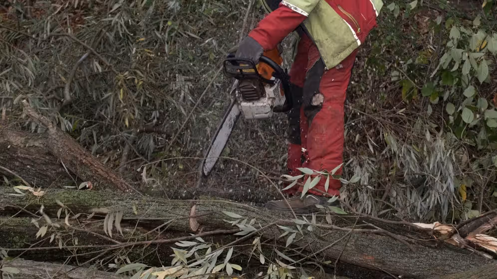 Ein Mann kam bei Forstarbeiten im Bezirk Feldkirchen ums Leben.