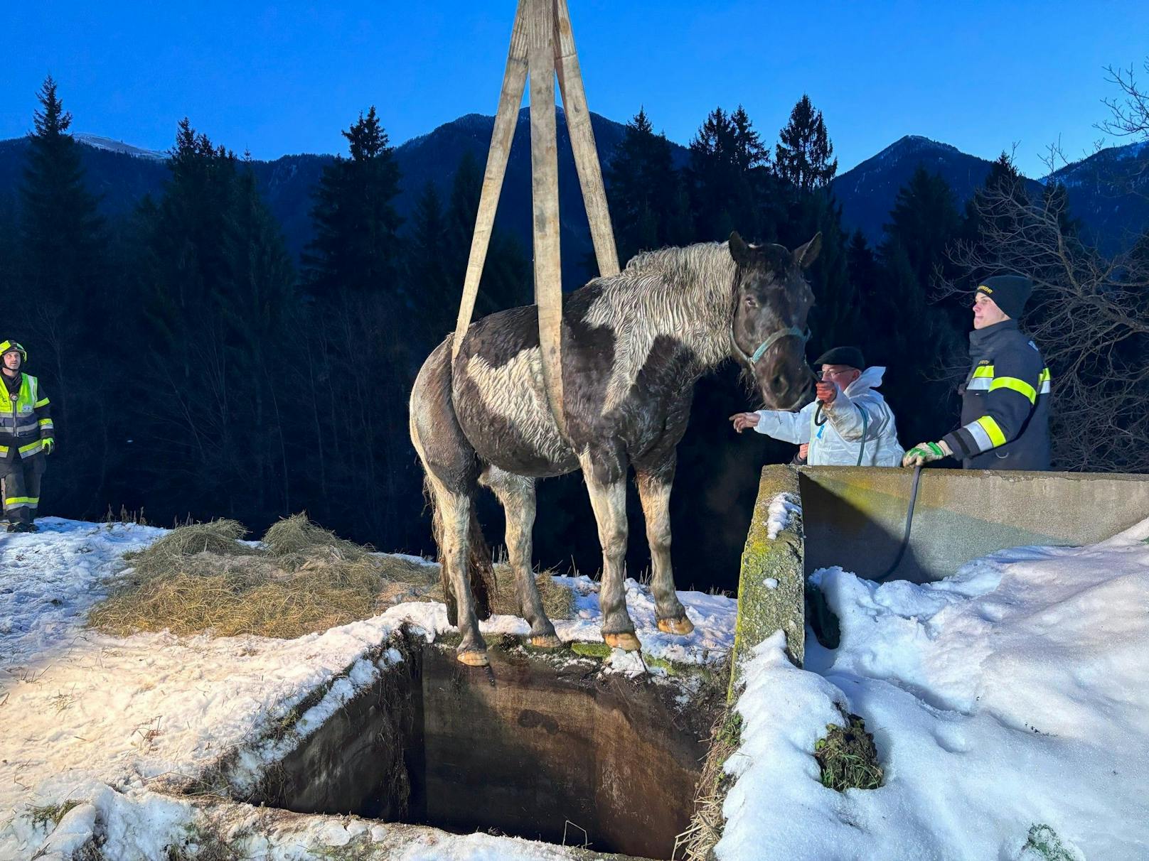 Endlich geschafft: Das Pferd wird per Kran geborgen.