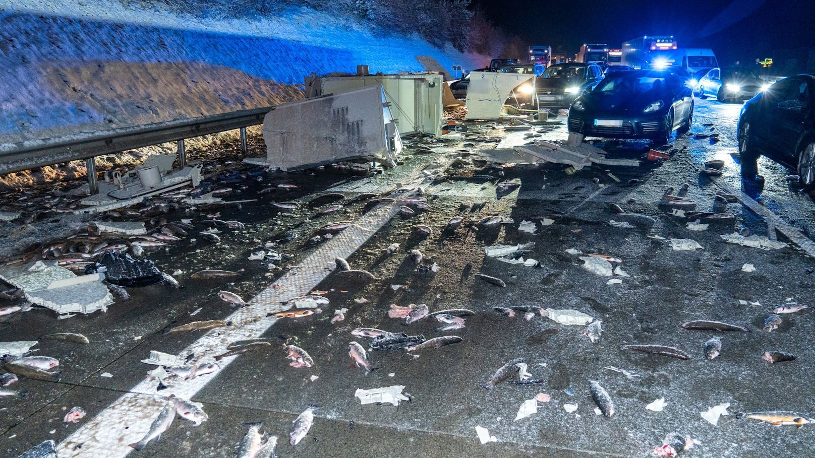 Hunderte Fische bei Crash auf Autobahn geschleudert