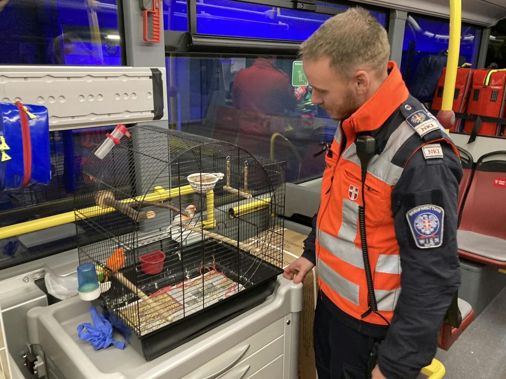 Patienten mit leichten Beeinträchtigungen wurden in weiterer Folge im Evakuierungsbus der Berufsrettung betreut