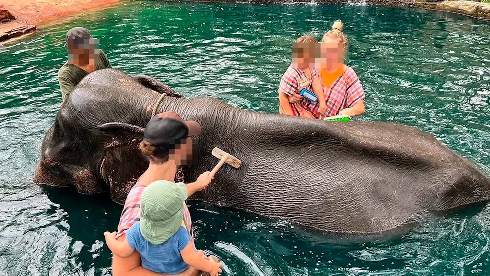 Eine Familie beim Elefanten-Baden im „Koh Yao Elephant Care“-Zentrum. Die Einrichtung ist nach dem Todesfall derzeit geschlossen.