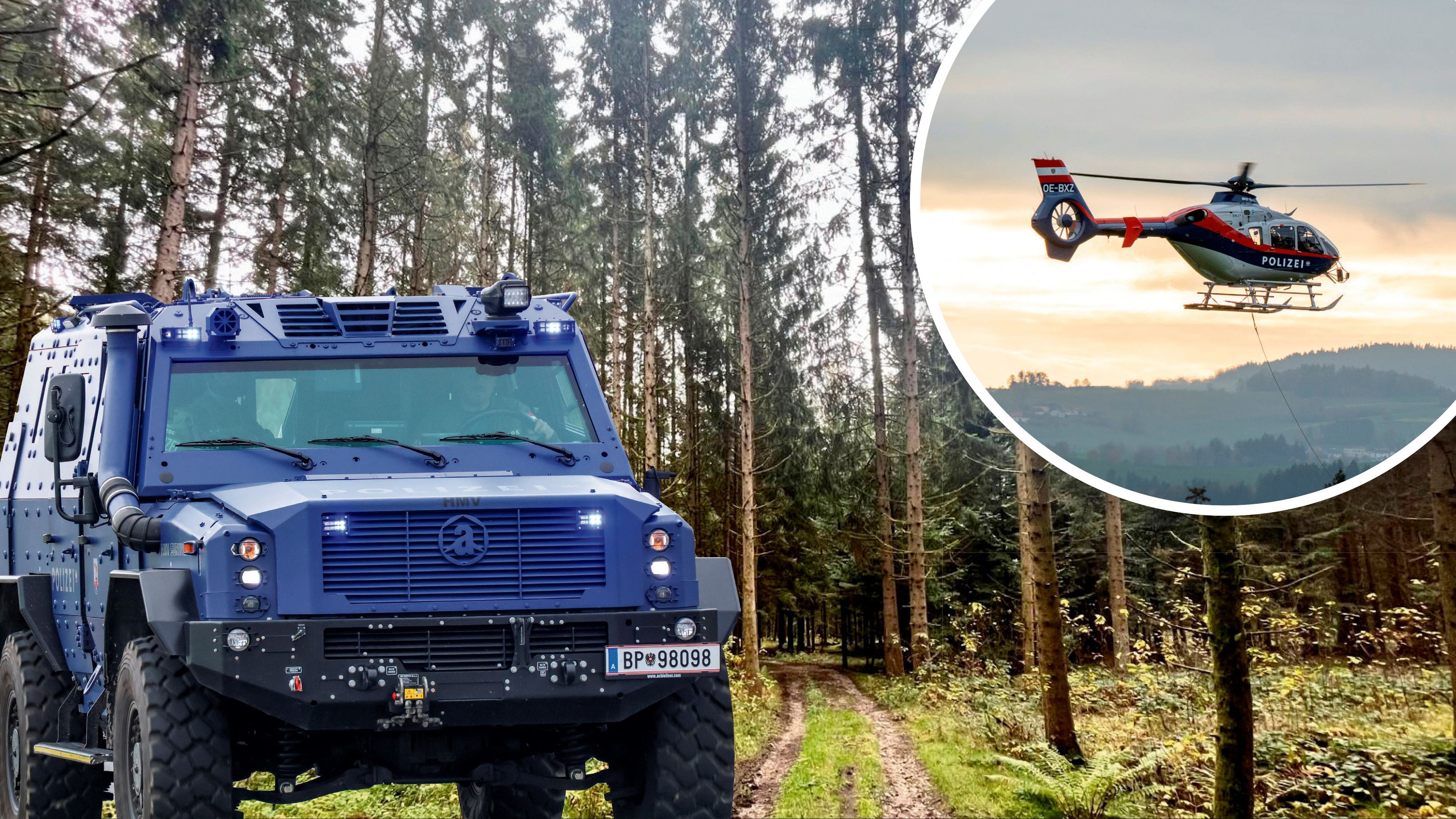 Tagelang suchte die Polizei nach Roland D., während dieser bereits tot im Wald (Bild) lag.