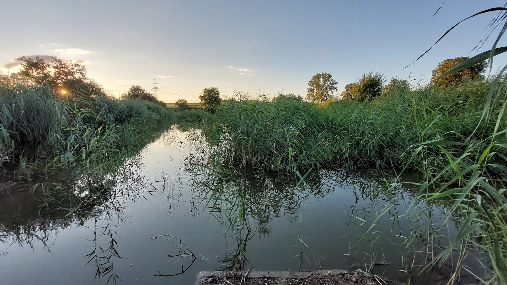 Der Zillingtaler Teich