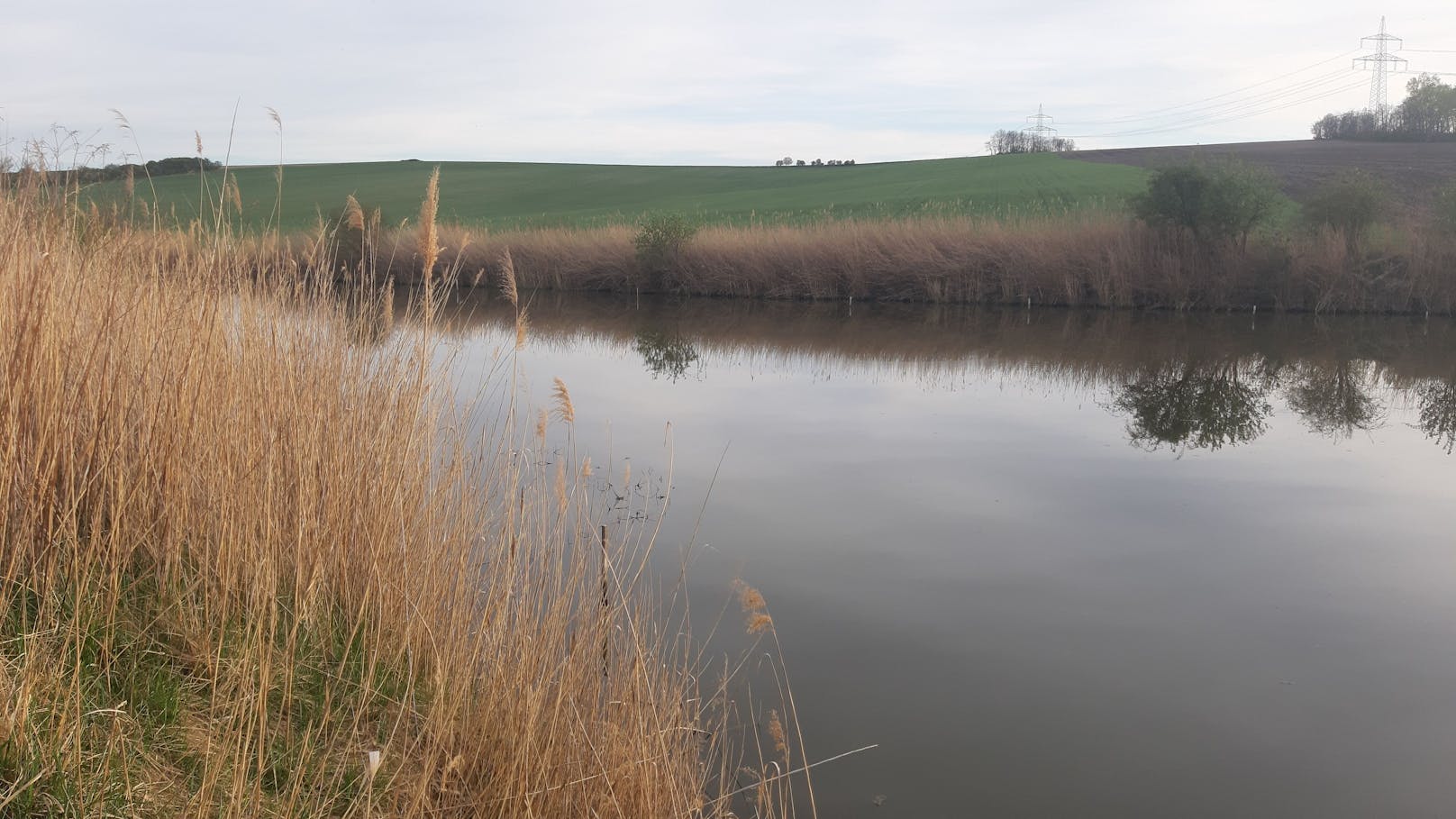 Heute For Future-Award 2024: Der Zillingtal-Teich