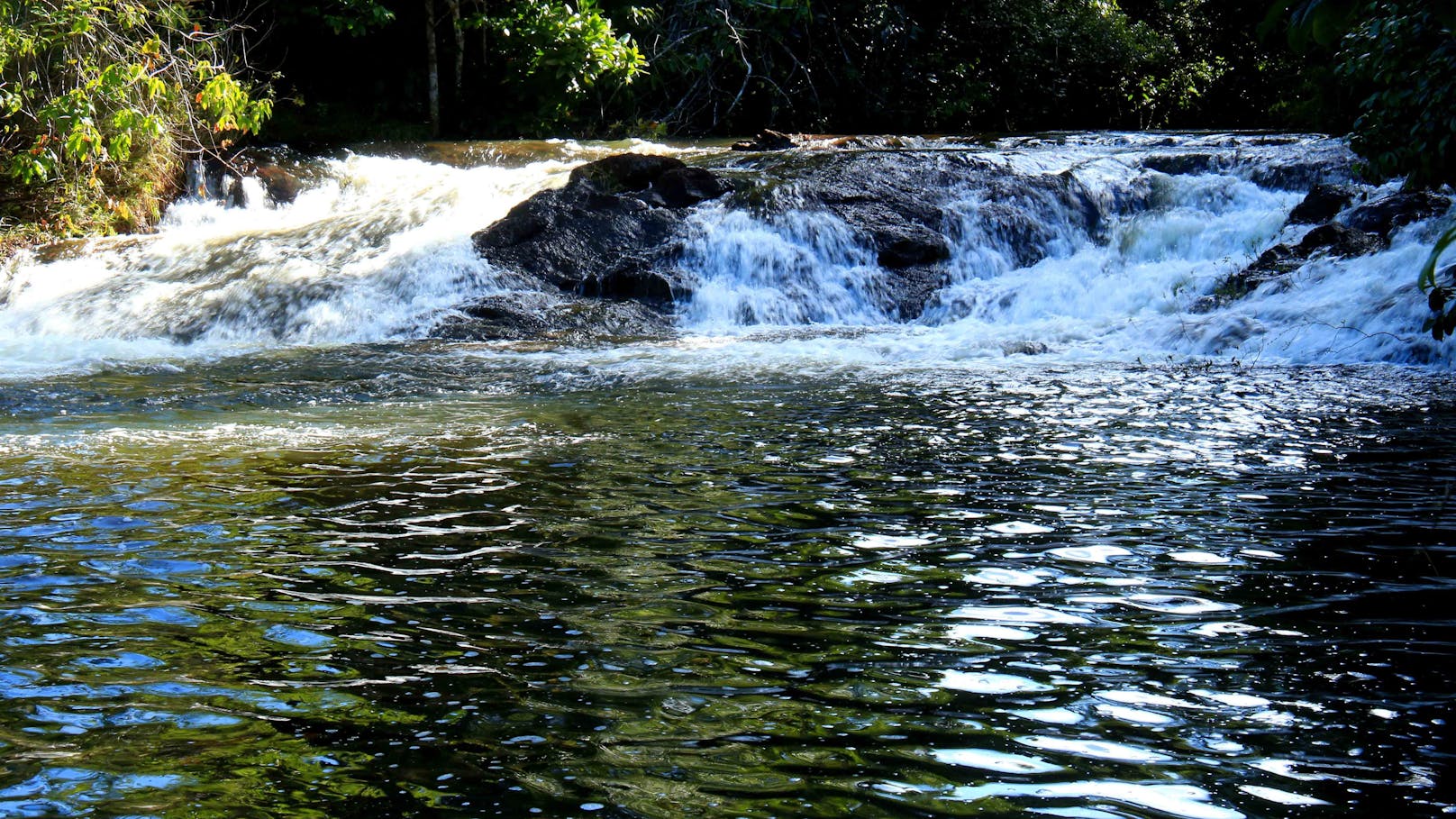 Regenwald der Mata Atlantica in Brasilien: Rio Jeribucacu