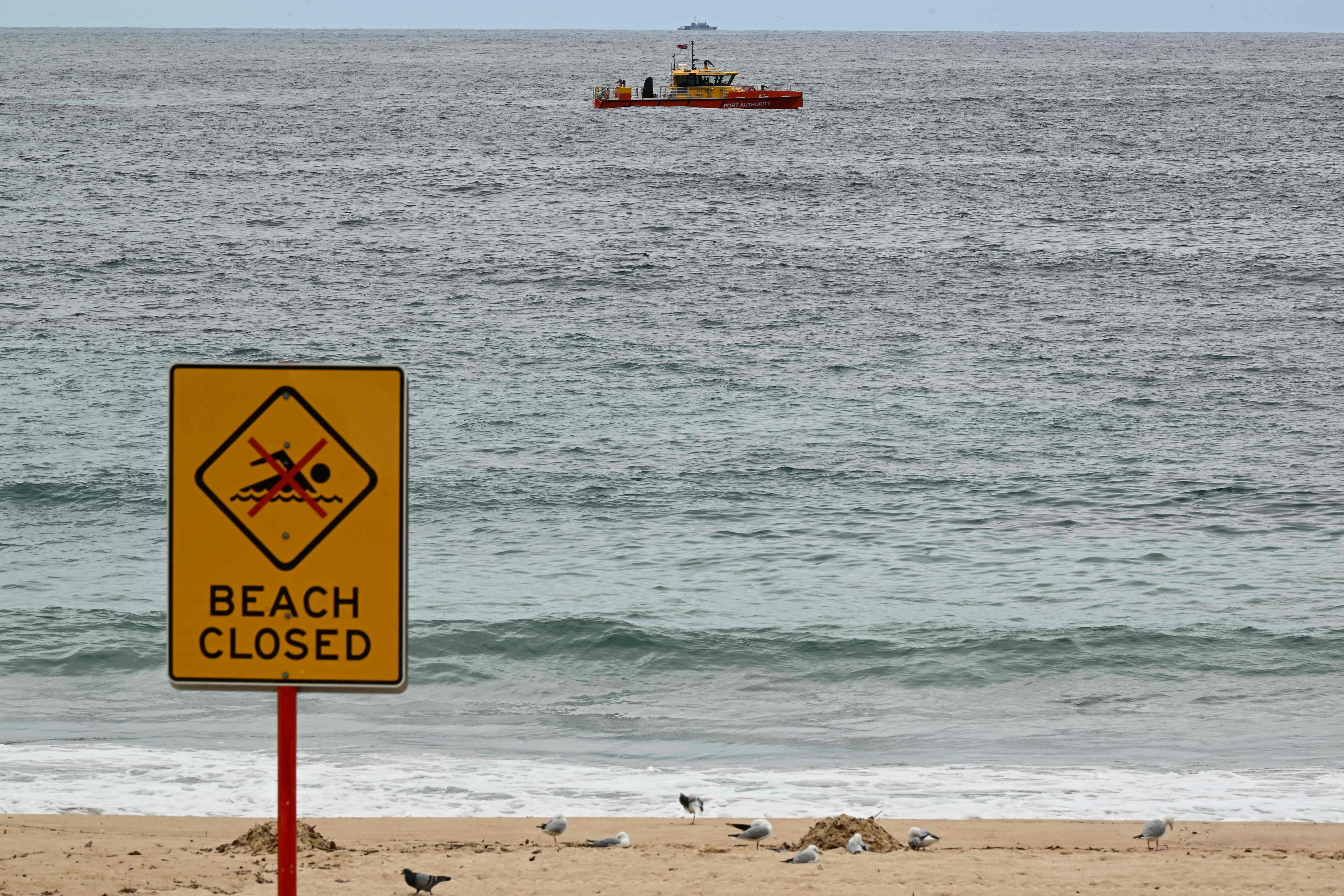 Der Strand in Sydney musste vorübergehend gesperrt werden. (Symbol)