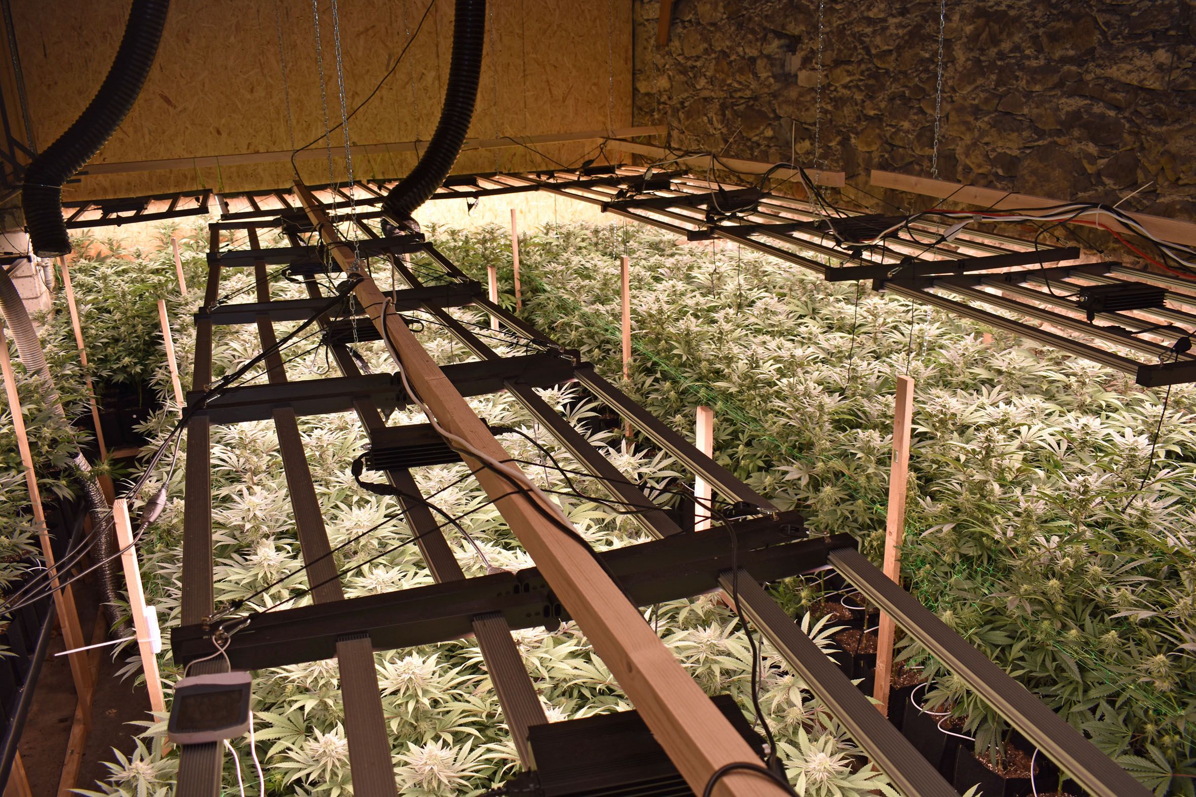 Hanf-Indoor-Anlage in Altwis (Kanton Luzern)