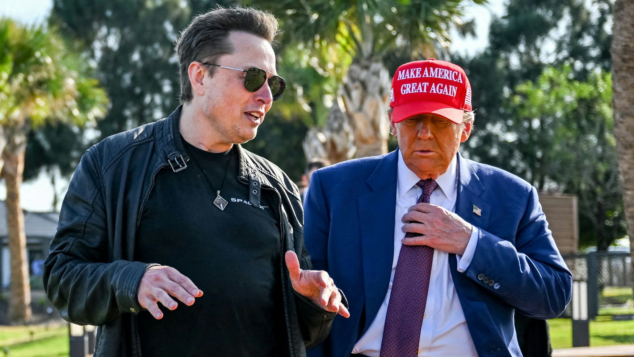 Elon Musk wird zum Sonderberater für den designierten US-Präsidenten Donald Trump.
