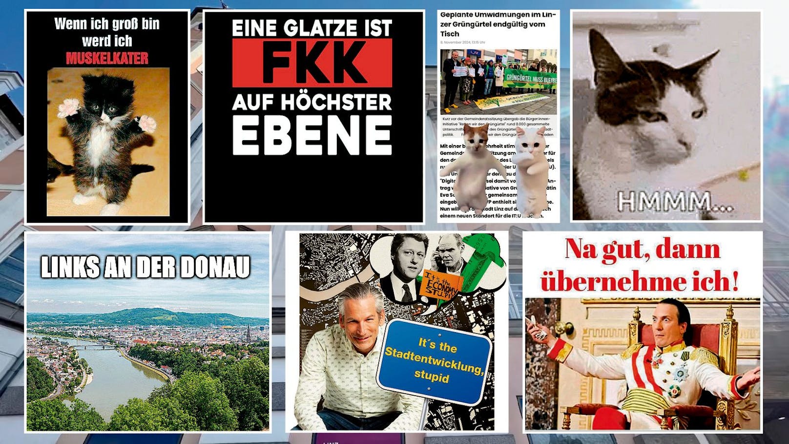 Von Glatze bis Katze – Lieblings-Memes der Politiker