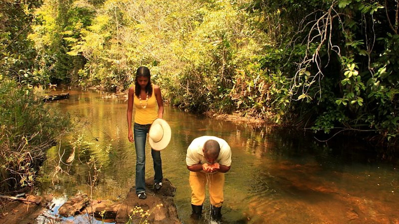 Regenwald der Mata Atlantica in Brasilien