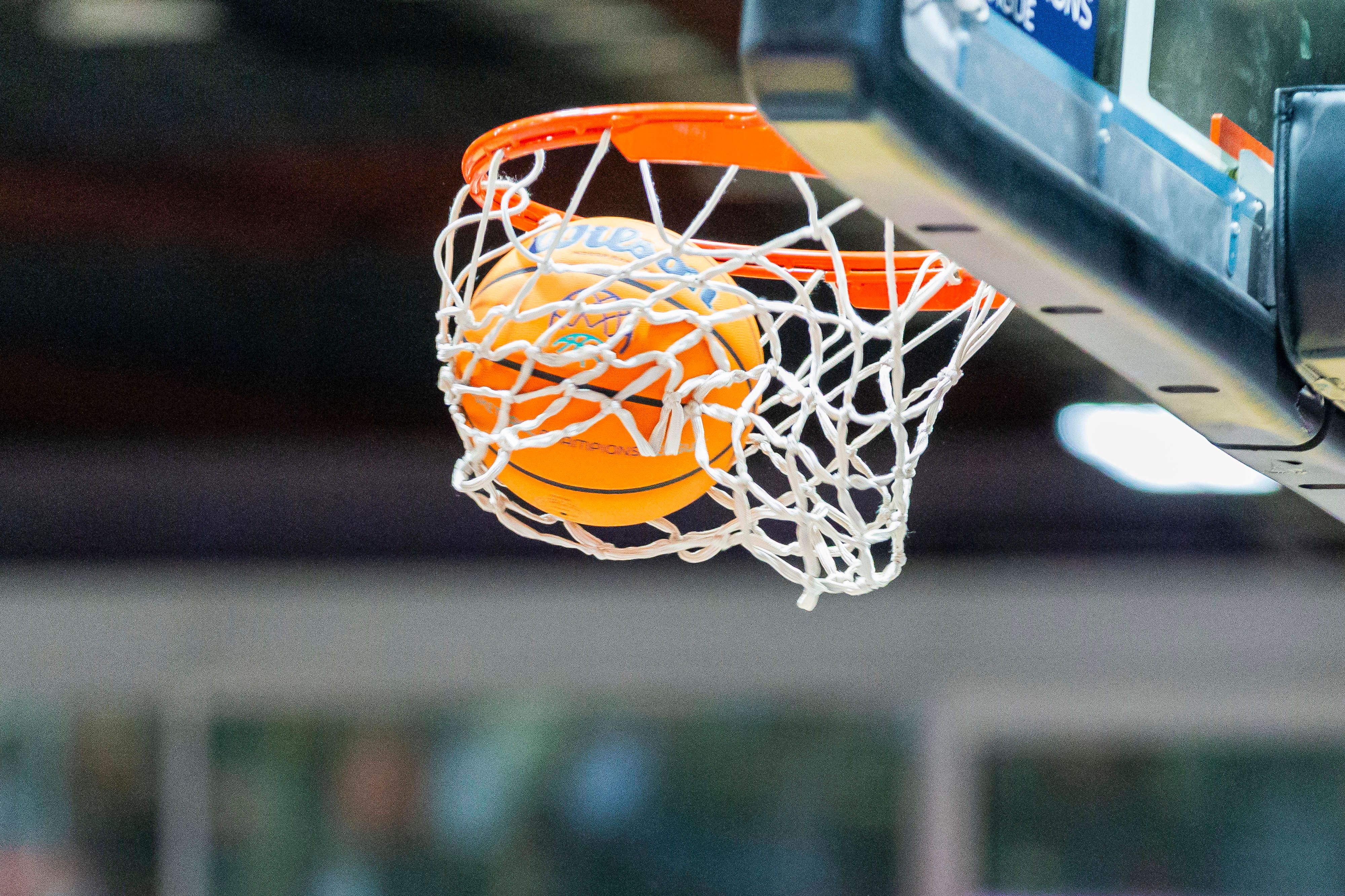 Erlebe Basketball am 14.3 hautnah im Hallmann Dome.