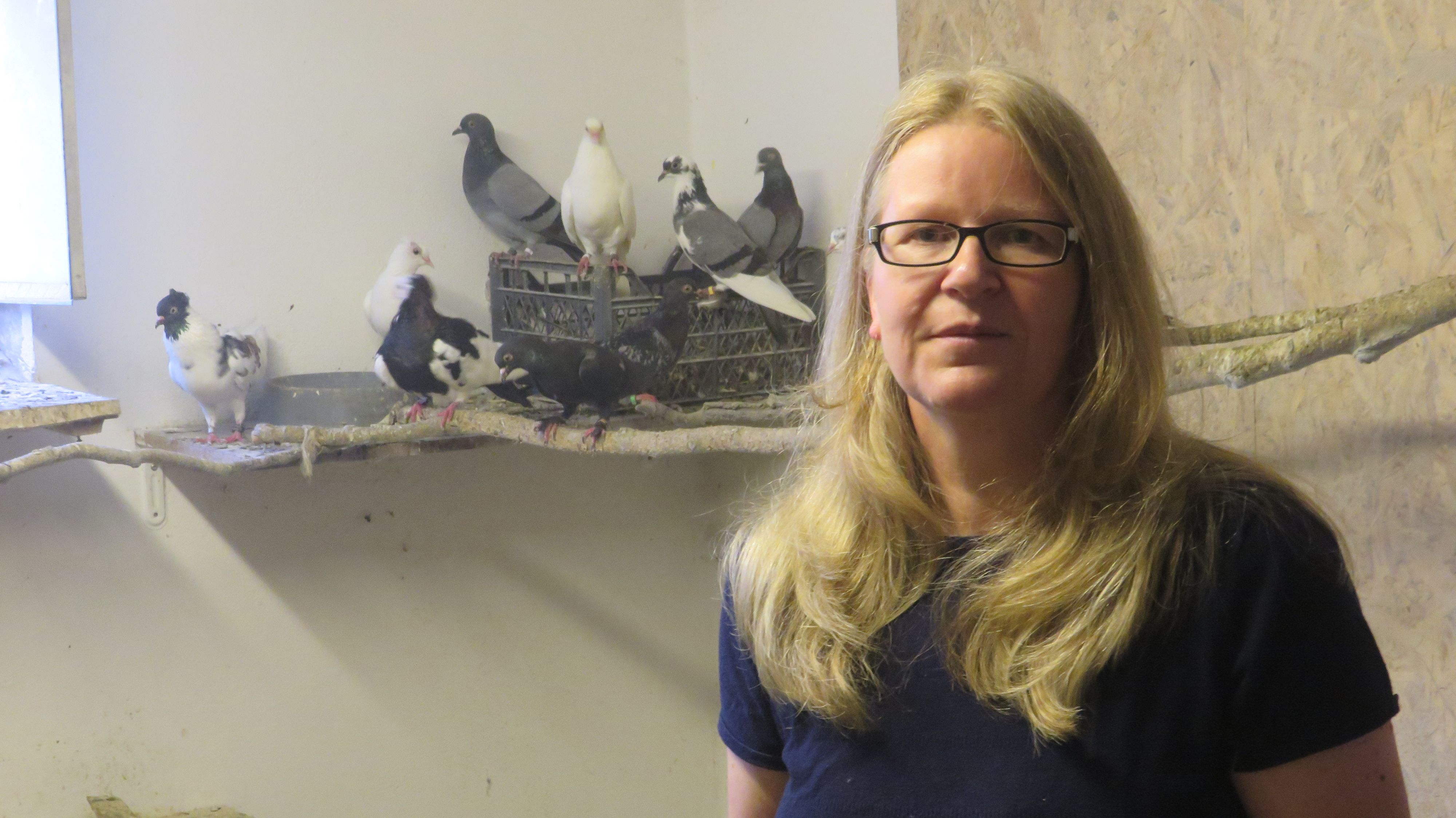 Tierschützerin Sabine Auer setzt sich seit Jahren für die Linzer Stadttauben ein.