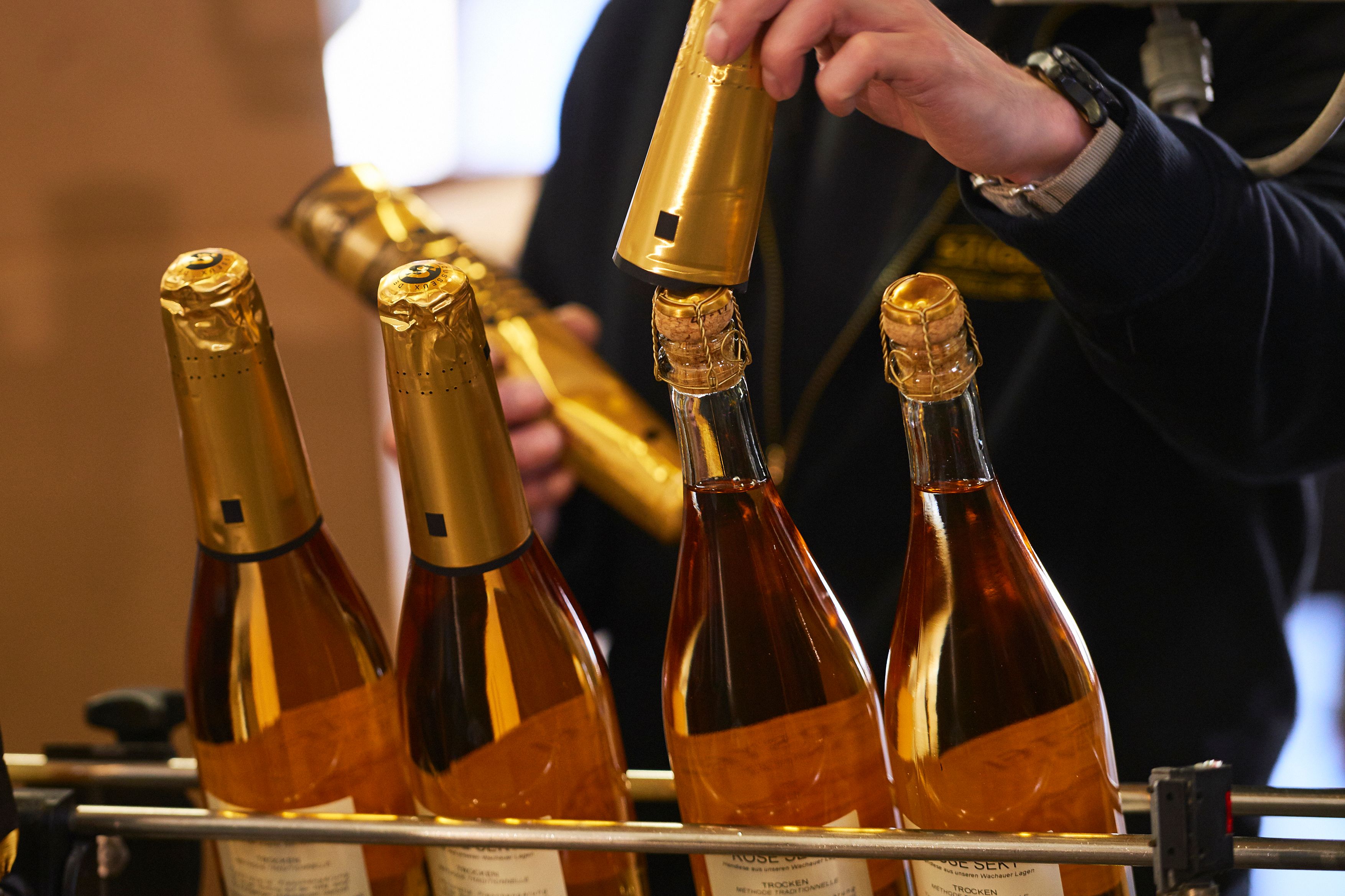 Für die Sektkellerei NOBIS in Gols könnte ein privates Konsortium einspringen, deutete Burgenlands Landeshauptmann Hans Peter Doskozil im Rahmen einer Pressekonferenz an.