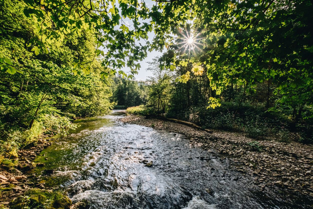 Heute.at - Kampf gegen Verschmutzung der Mödlinger Bäche