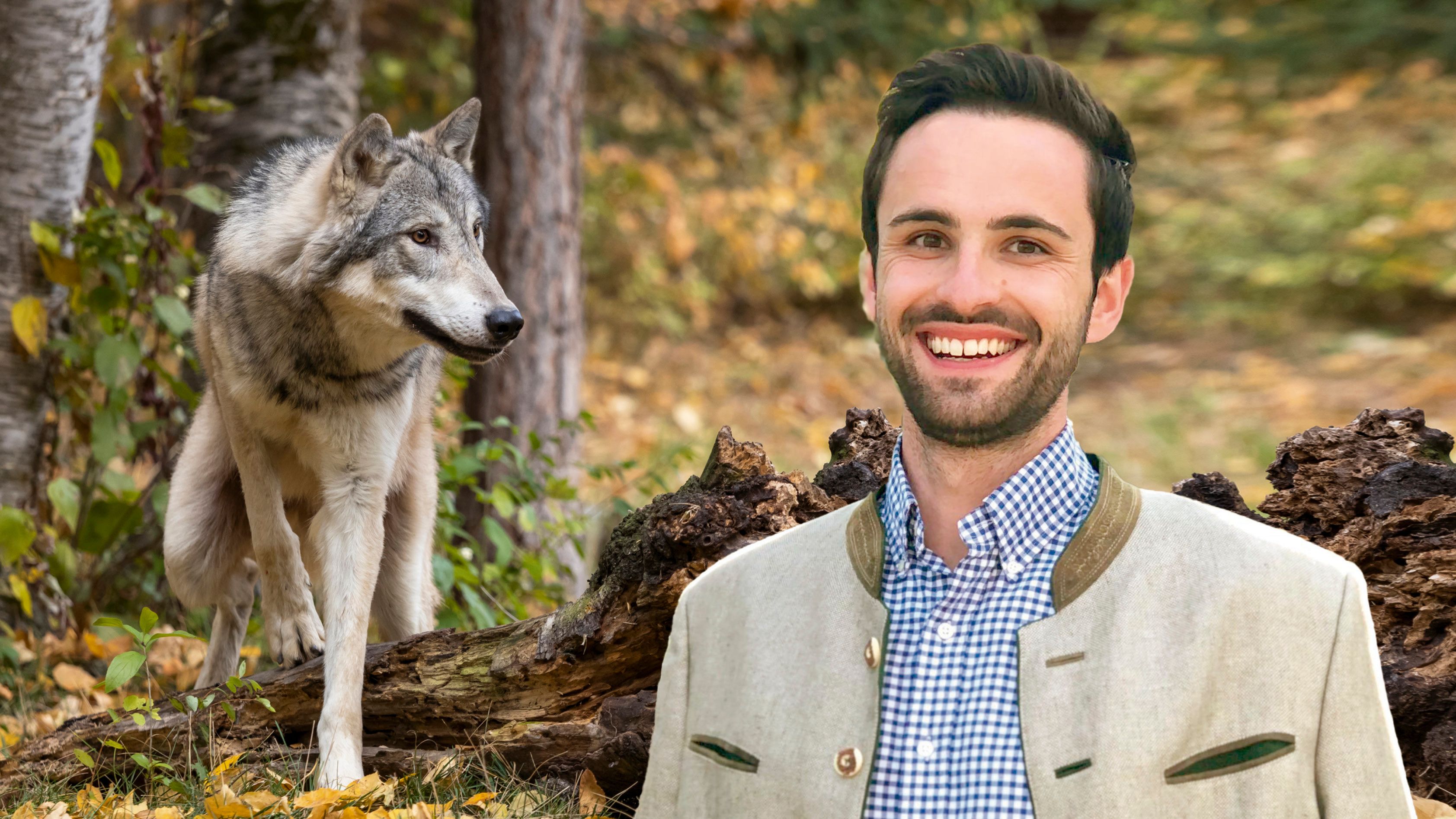 Philipp Engleder, Wolfsbeauftragter des Landes OÖ beruhigt: Der 