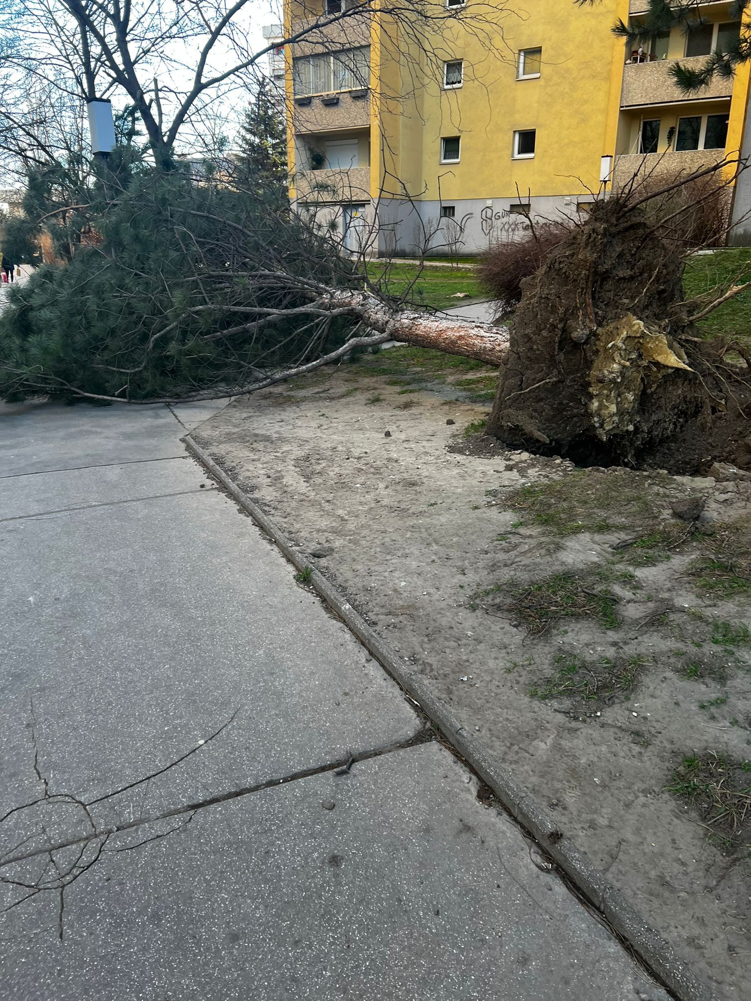 Der Sturm in der Nacht von Donnerstag auf Freitag hinterließ seine Spuren in Wien.