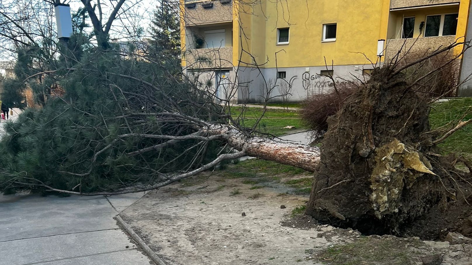 Orkan fegte über Wien – das ganze Ausmaß der Schäden