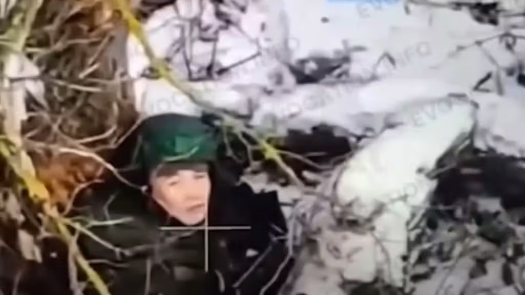 Heute.at - Grausam – Nordkoreaner als menschliche Minensucher