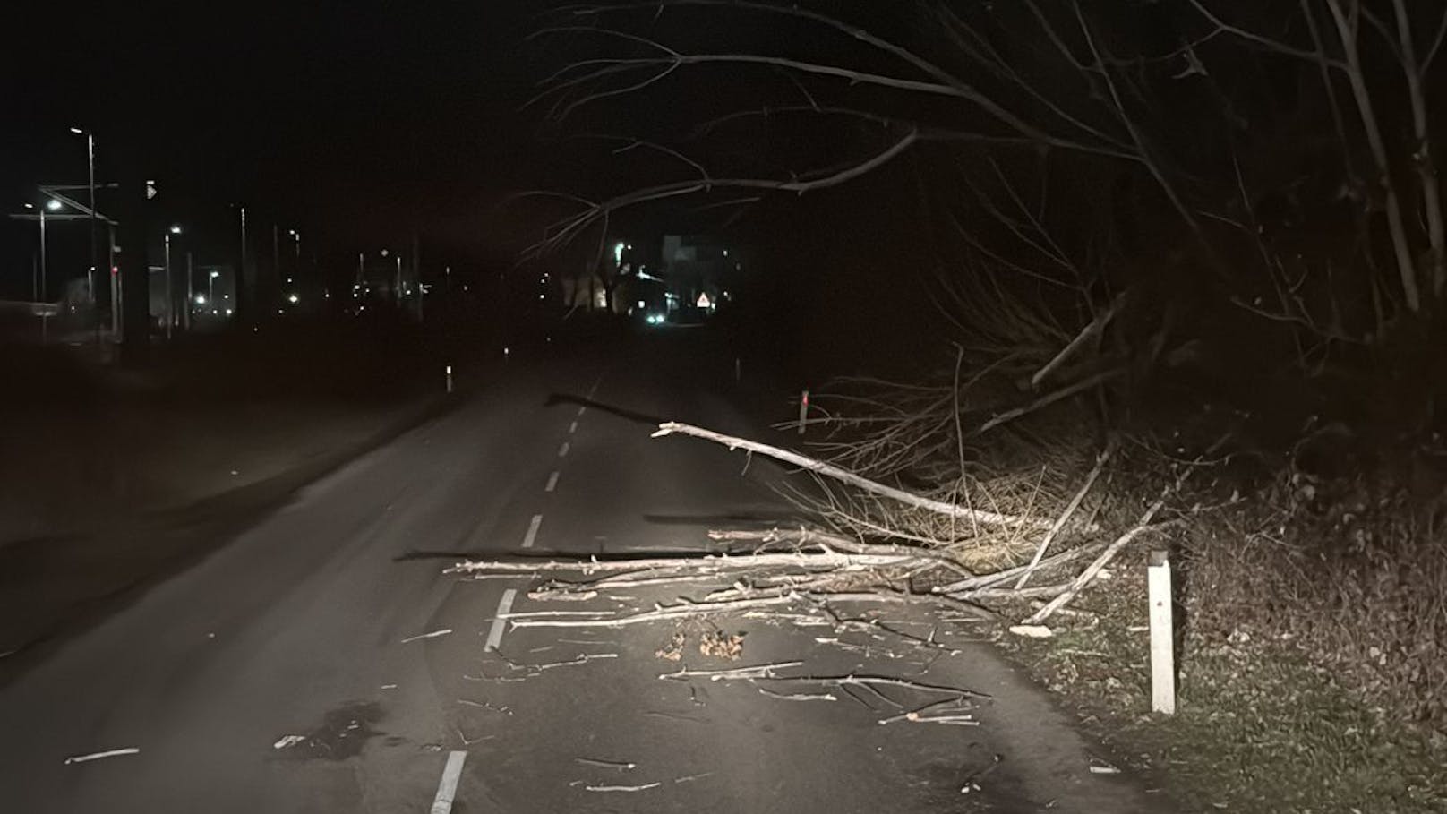 Die Feuerwehr hatte viele Einsätze aufgrund von Ästen auf der Straße.