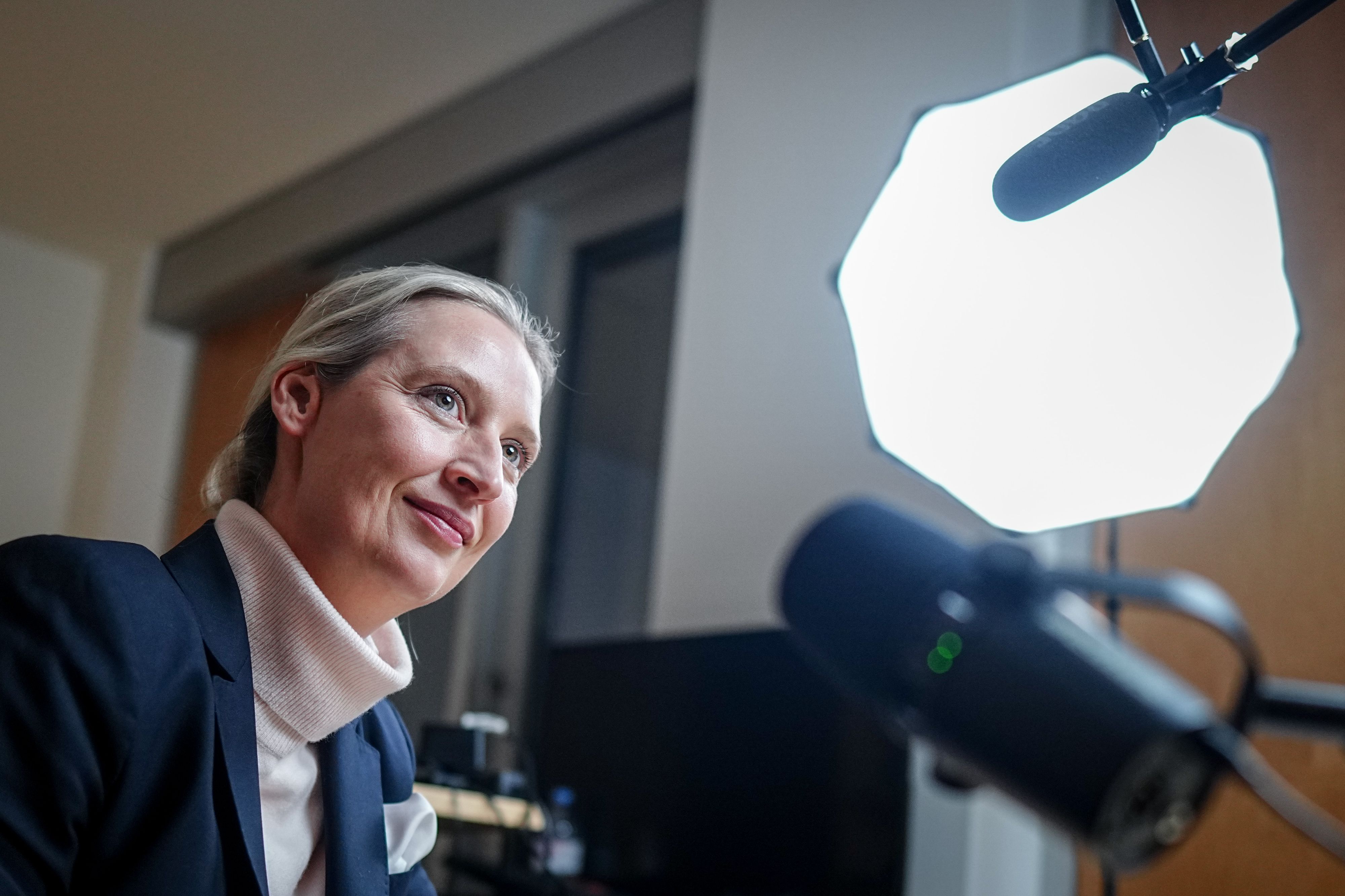 Am 9. Jänner 2025 führte AfD-Vorsitzende Alice Weidel ein Live-Gespräch mit Elon Musk. 