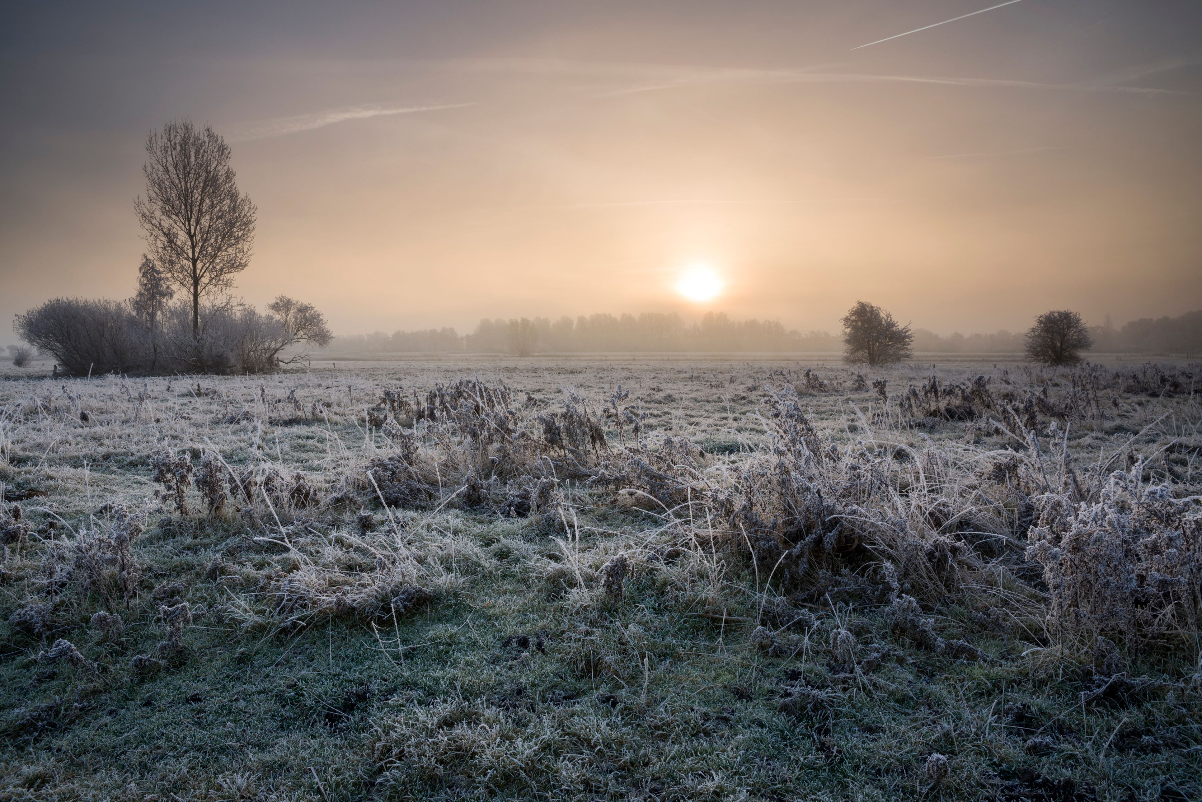 Schnee wird im Jänner zur Mangelware, die nächsten Tage werden aber frostig.