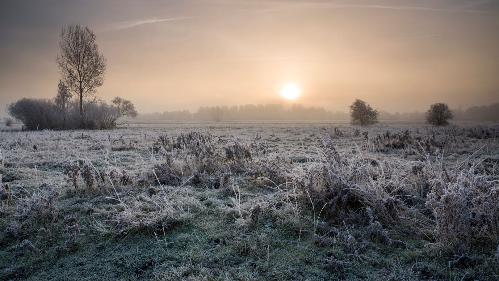 Strenger Frost! Jetzt wird es jeden Tag kälter