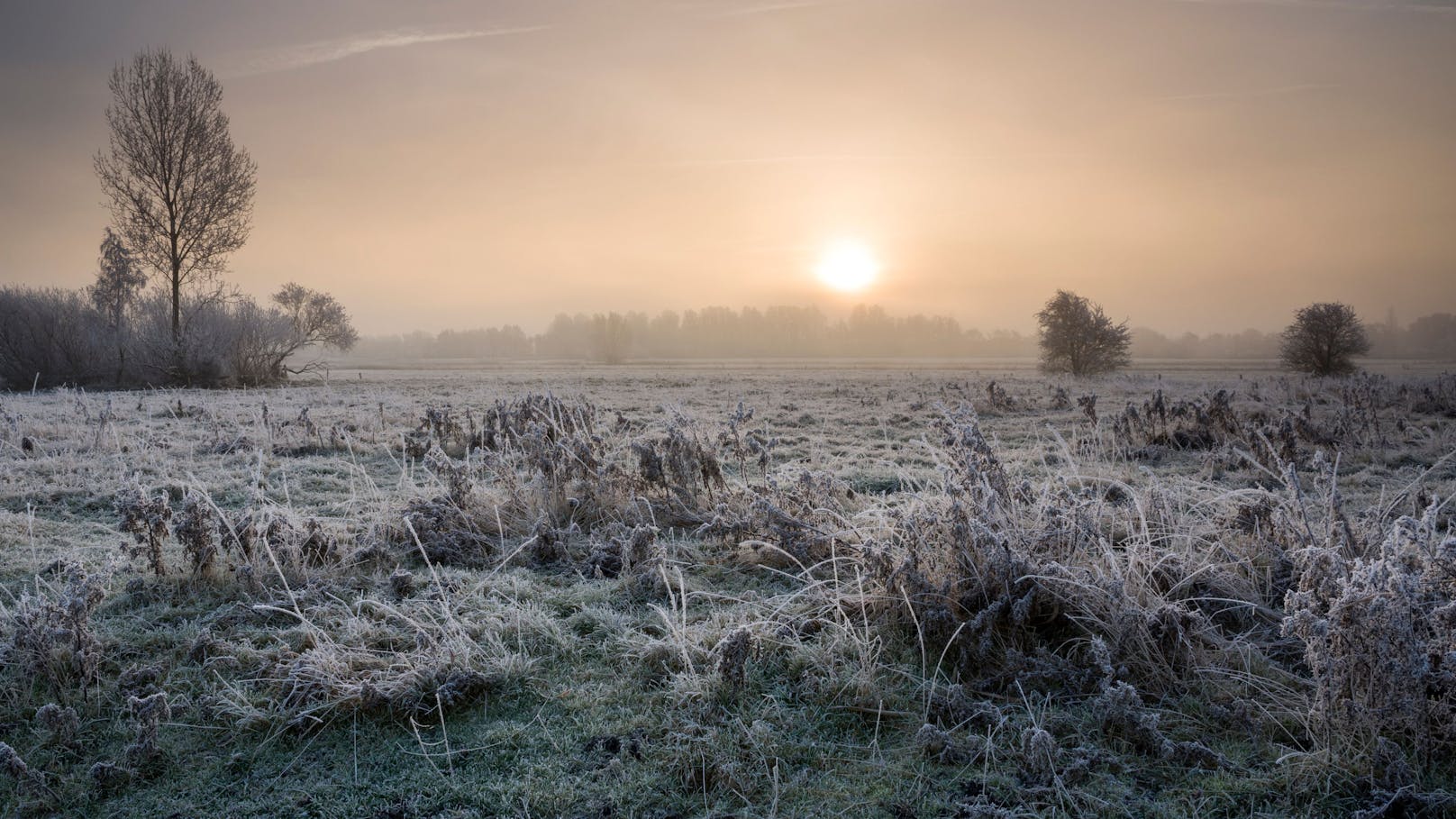 Strenger Frost! Jetzt wird es jeden Tag kälter