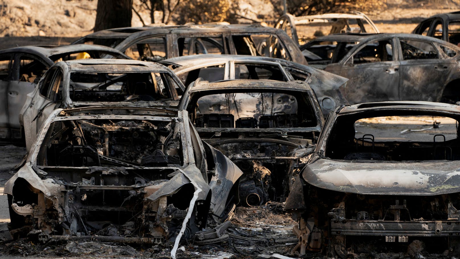 Die Überreste von verlassenen Autos stehen auf dem Sunset Boulevard nach dem Palisades-Brand im Stadtteil Pacific Palisades in Los Angeles.