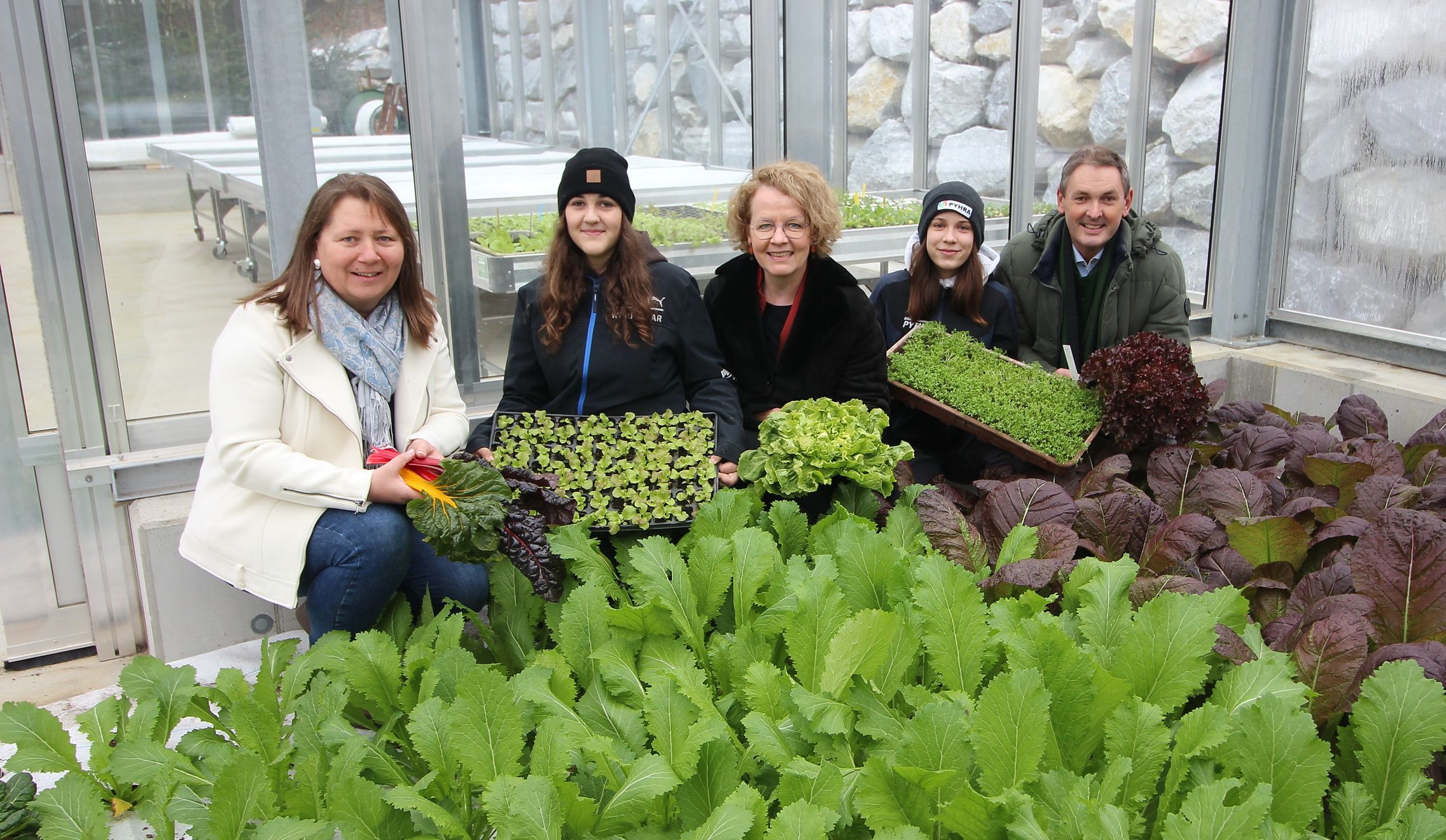 Frisches Grün im neuen Gewächshaus der LFS Pyhra