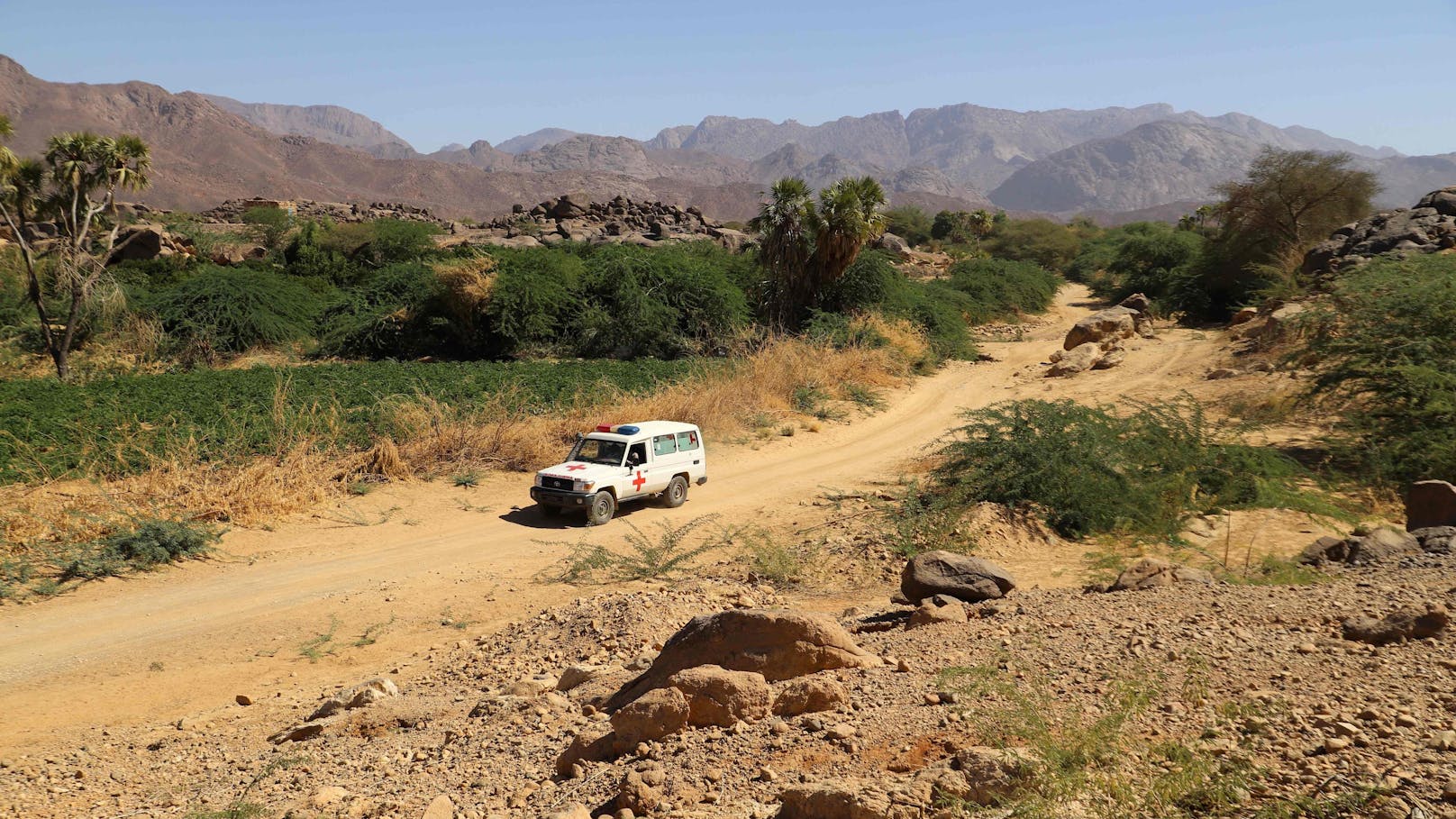 Ins Auto gezerrt: Österreicherin im Niger entführt