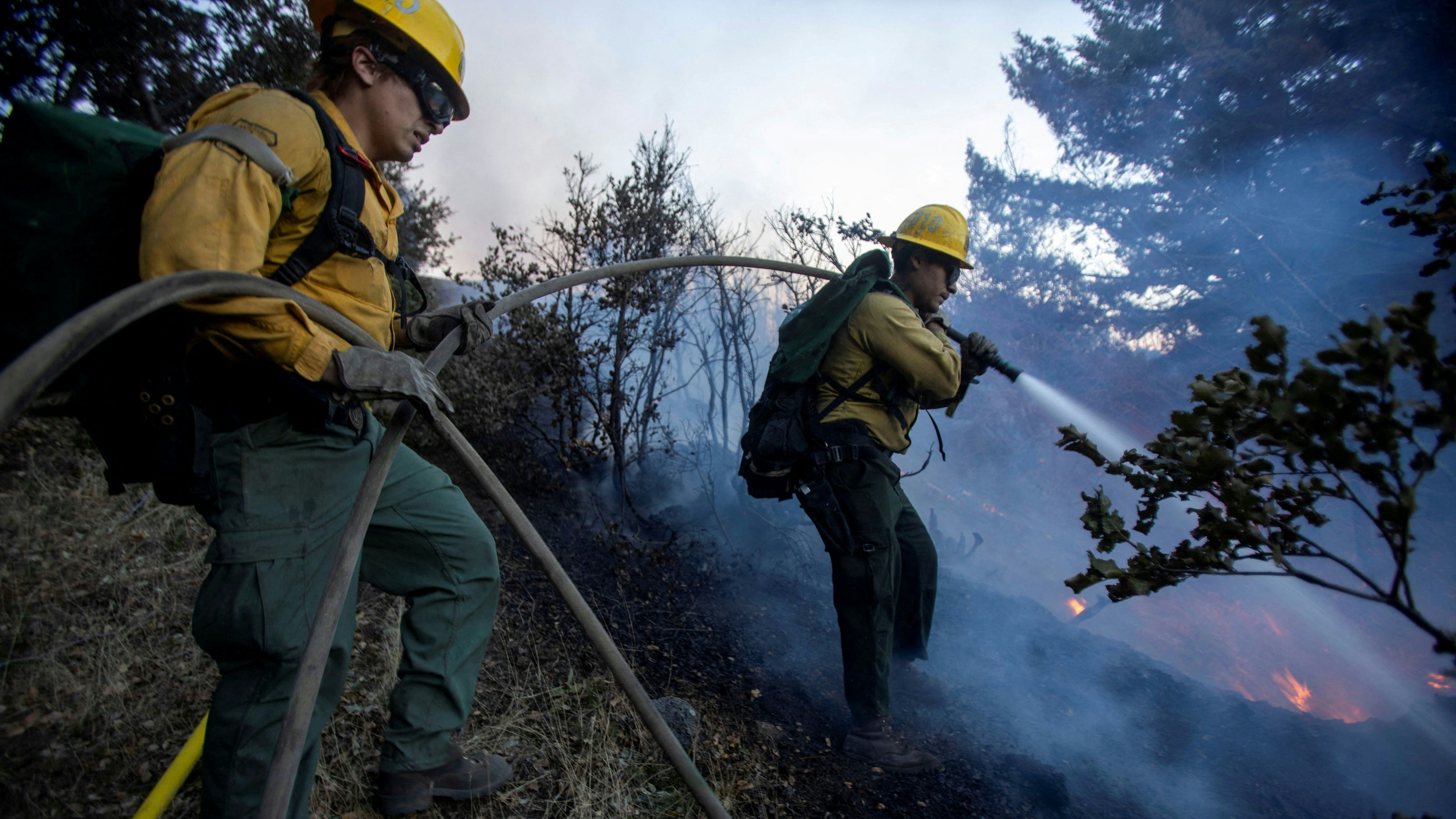 Firefighters battle the fire in the Angeles National Forest near Mt. Wilson as the wildfires burn in the Los Angeles area, during the Eaton Fire in Altadena, California, U.S. January 9, 2025. 