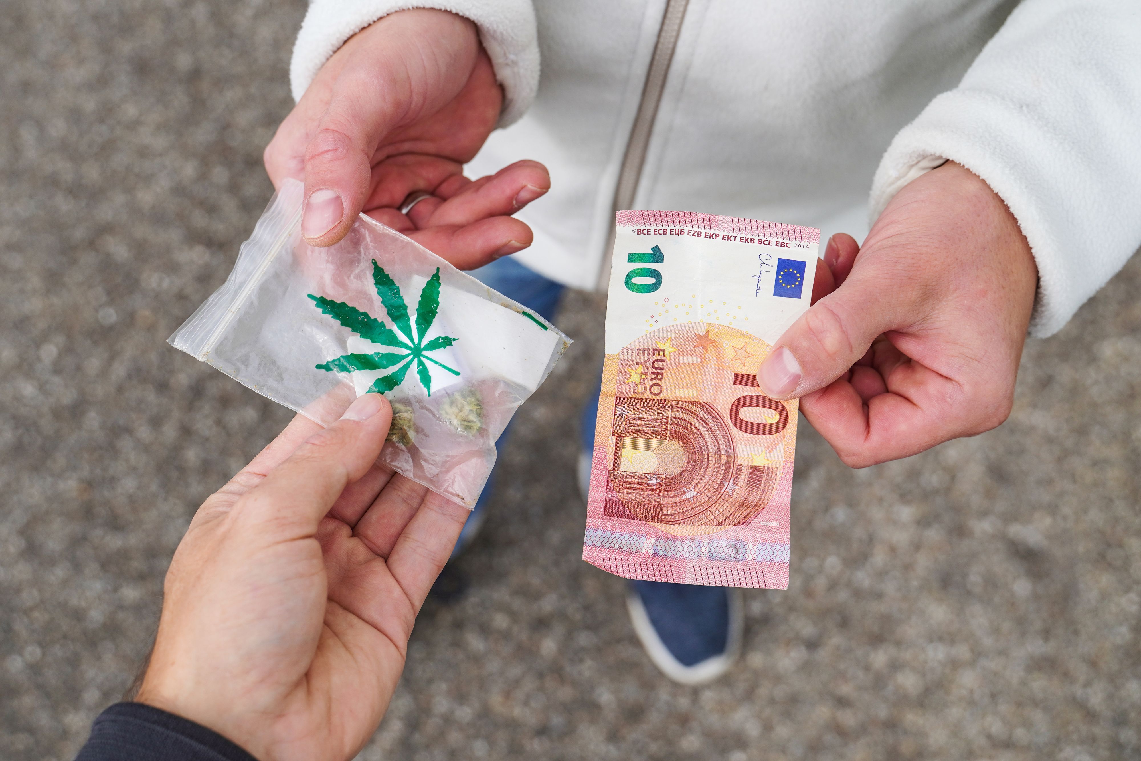 Der Wiener soll 31 Kilogramm Cannabis im Wert von 132.000 Euro verkauft haben. Symbolbild.