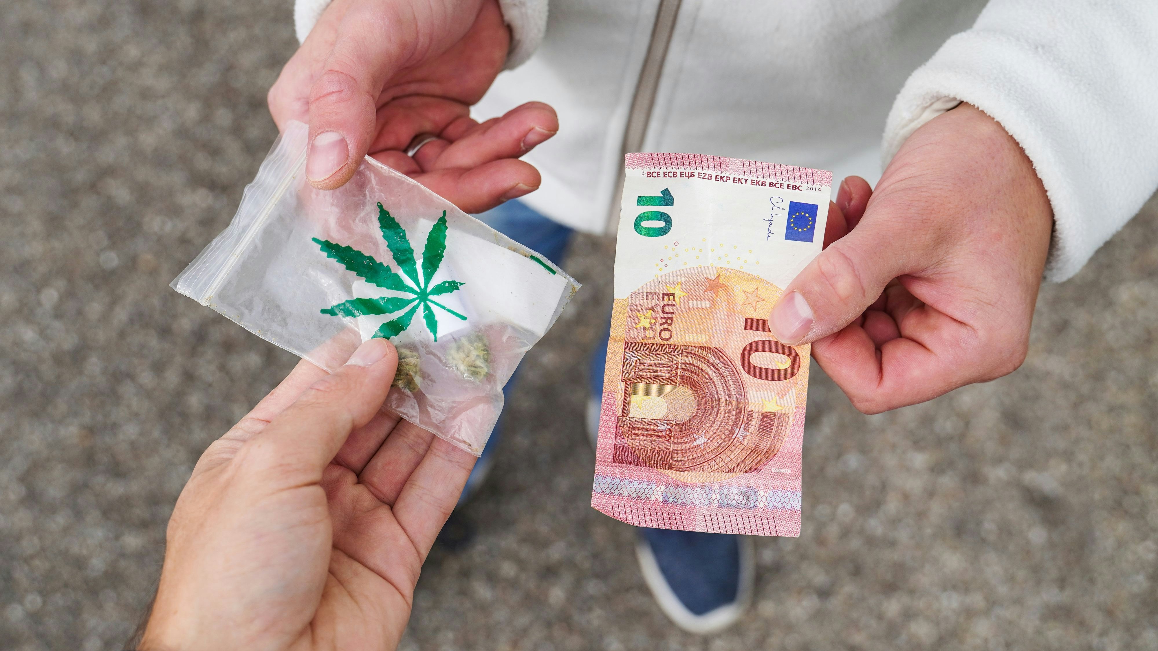 Der Wiener soll 31 Kilogramm Cannabis im Wert von 132.000 Euro verkauft haben. Symbolbild.