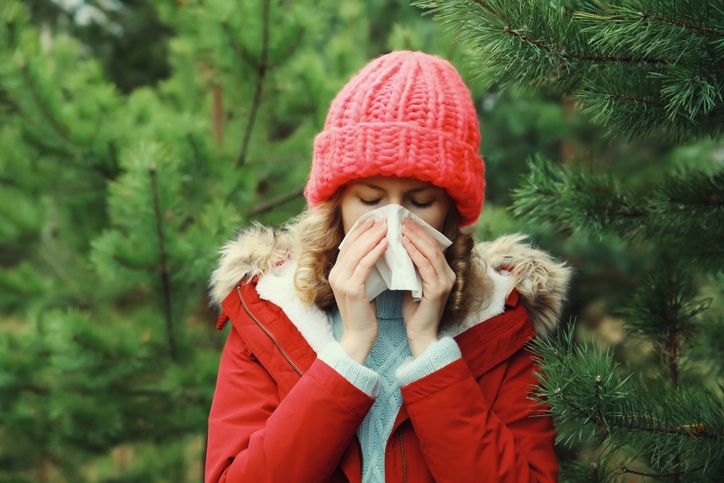 Durch die Erderwärmung verschieben sich in der Natur die Pollenflugphasen.