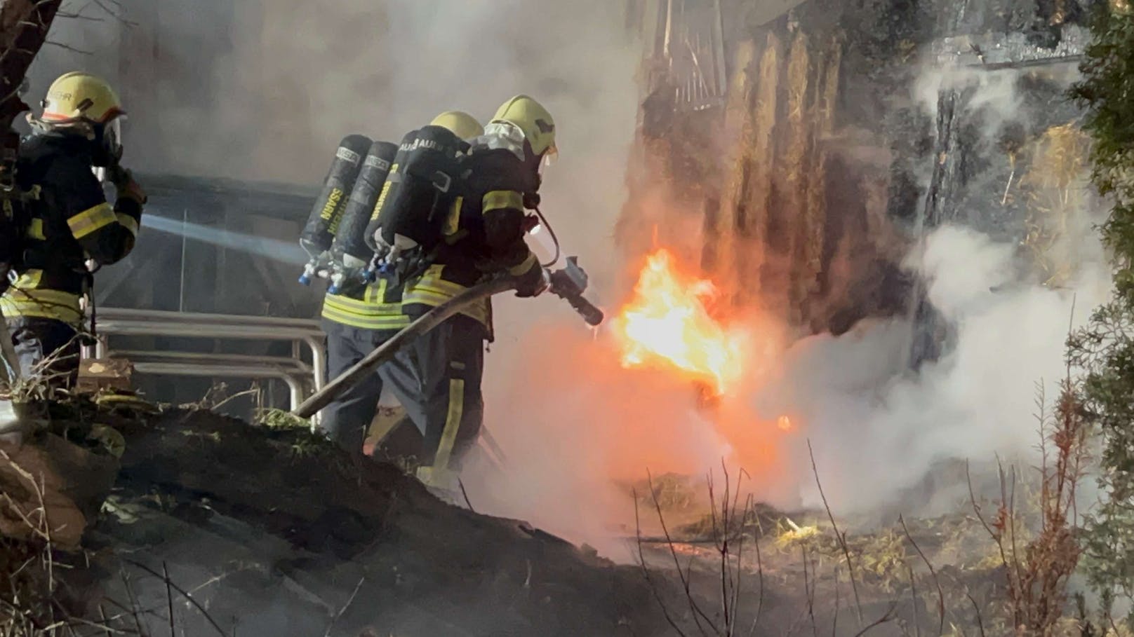 Großer Stallbrand in NÖ – 62 Schafe verendet