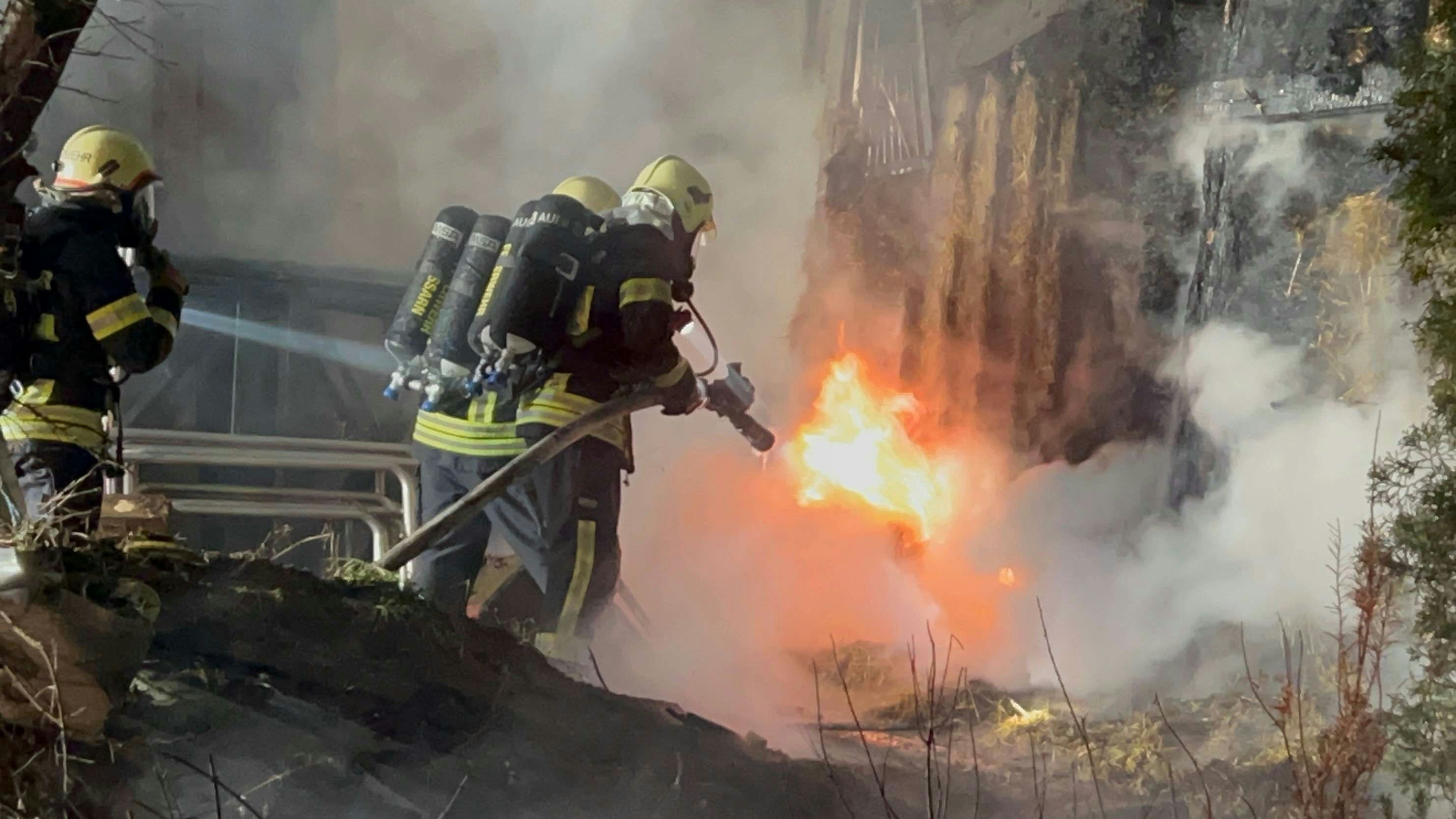 Stallbrand in NÖ: 62 Schafe verendet