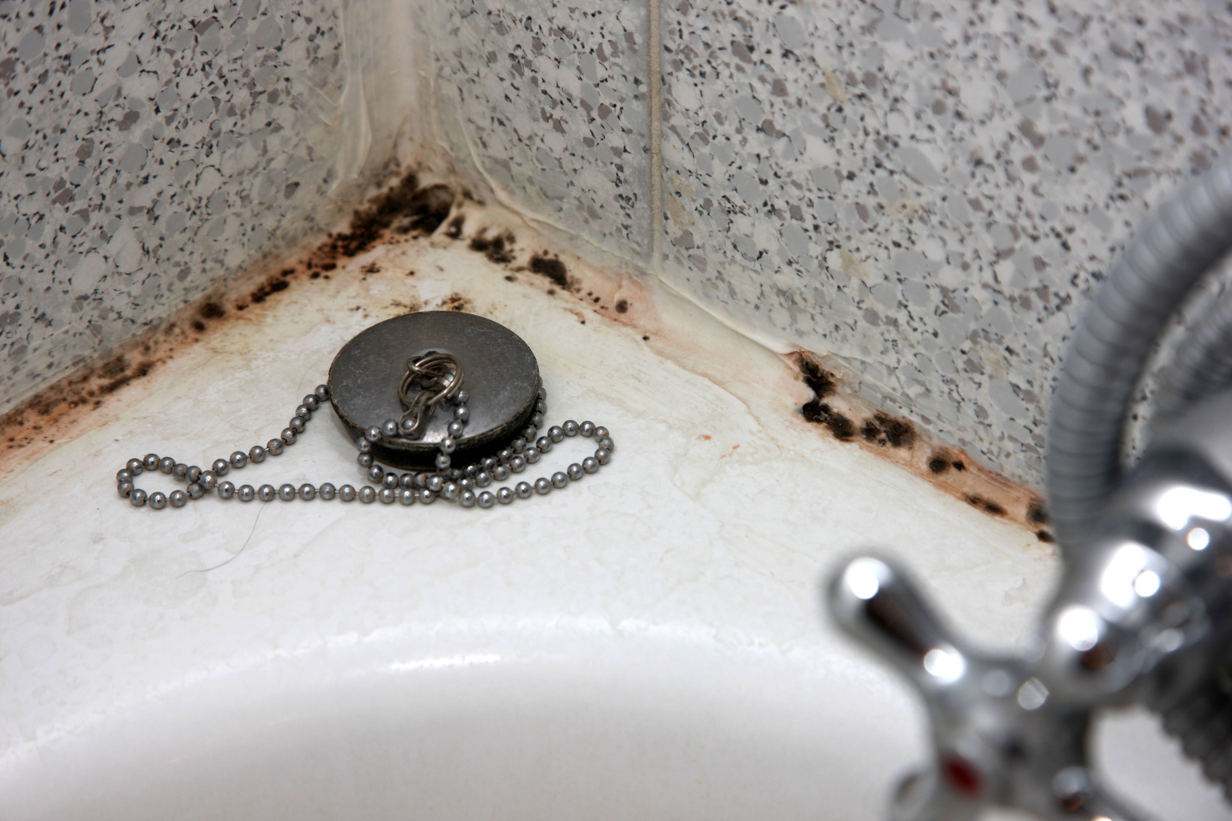 Fugen und Dichtungen im oft feuchten Badezimmer fangen gerne an, zu schimmeln. Wir sagen dir, was du dagegen tun kannst.