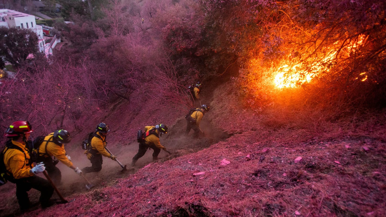 Los Angeles leuchtet pink – und verhängt Alarmstufe rot