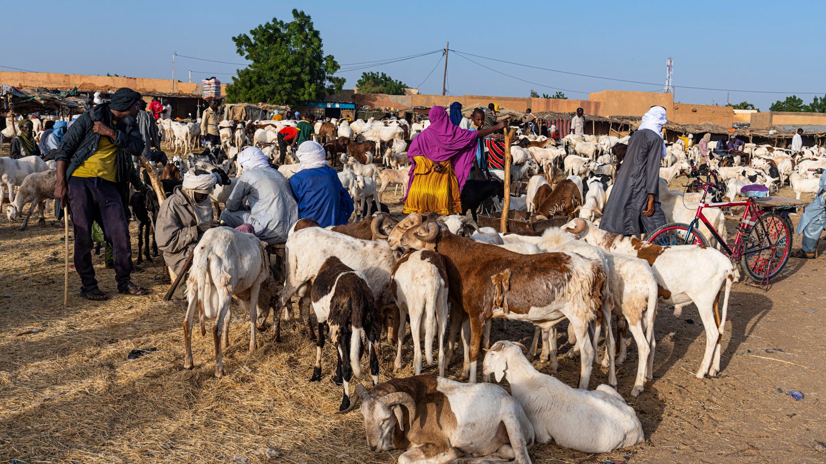 Wienerin im Niger entführt – sie lebte seit Jahren dort