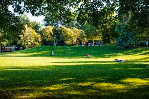 Im Juni 2024 soll ein damals 24-jähriger Mann eine 38-Jährige im Basler Horburgpark vergewaltigt haben.