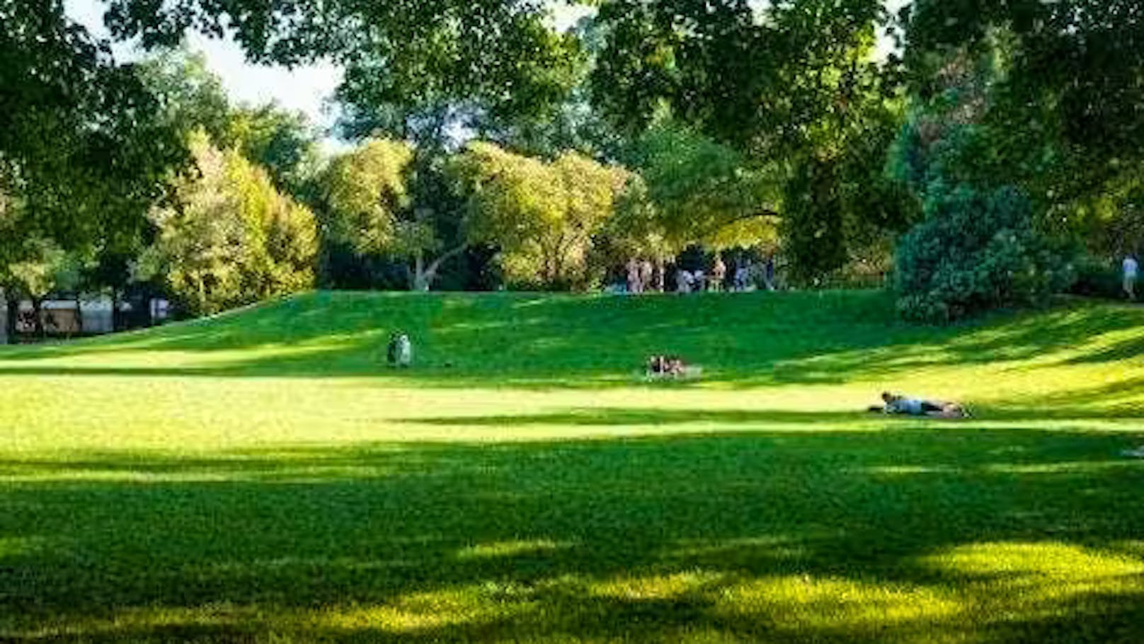 Mann (25) drängt Frau in Park und vergewaltigt sie