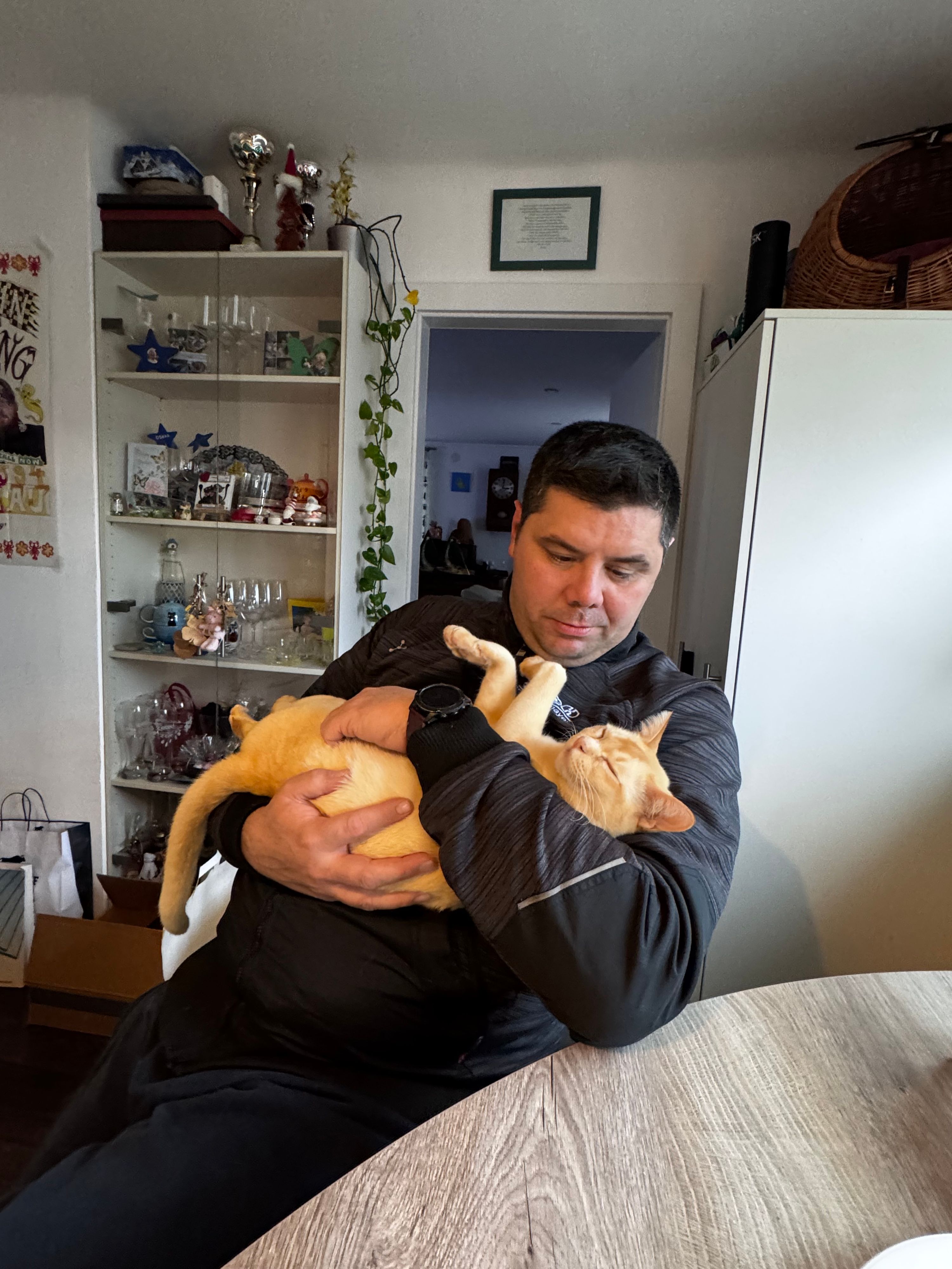 Oskar aus Liesing vermisst seinen Kater 