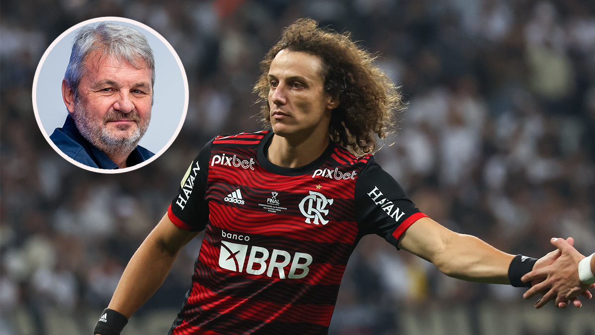 Austria-Sportvorstand Jürgen Werner spricht über die mögliche Verpflichtung von David Luiz. 
