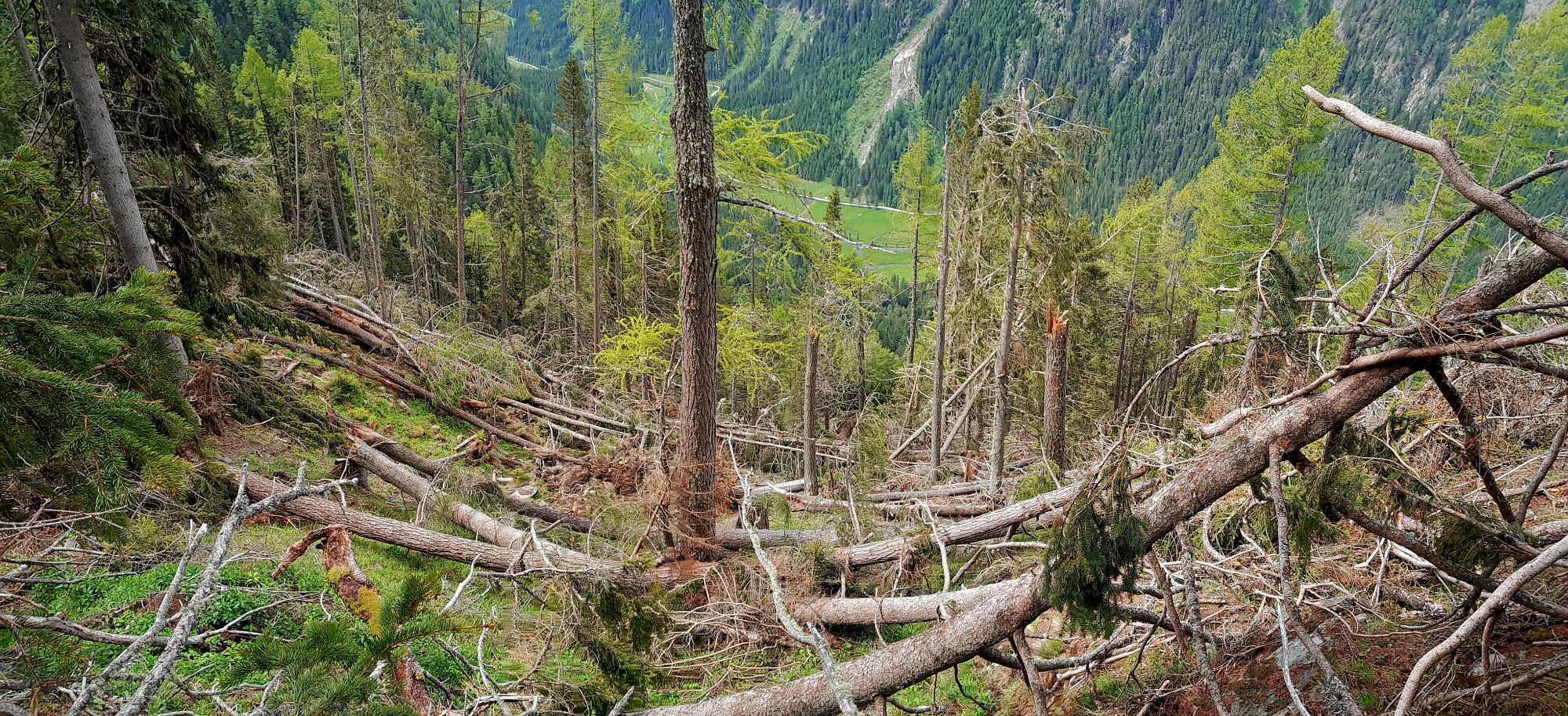 Wetterextreme wie stärker werdende Stürme richten massive Schäden an.