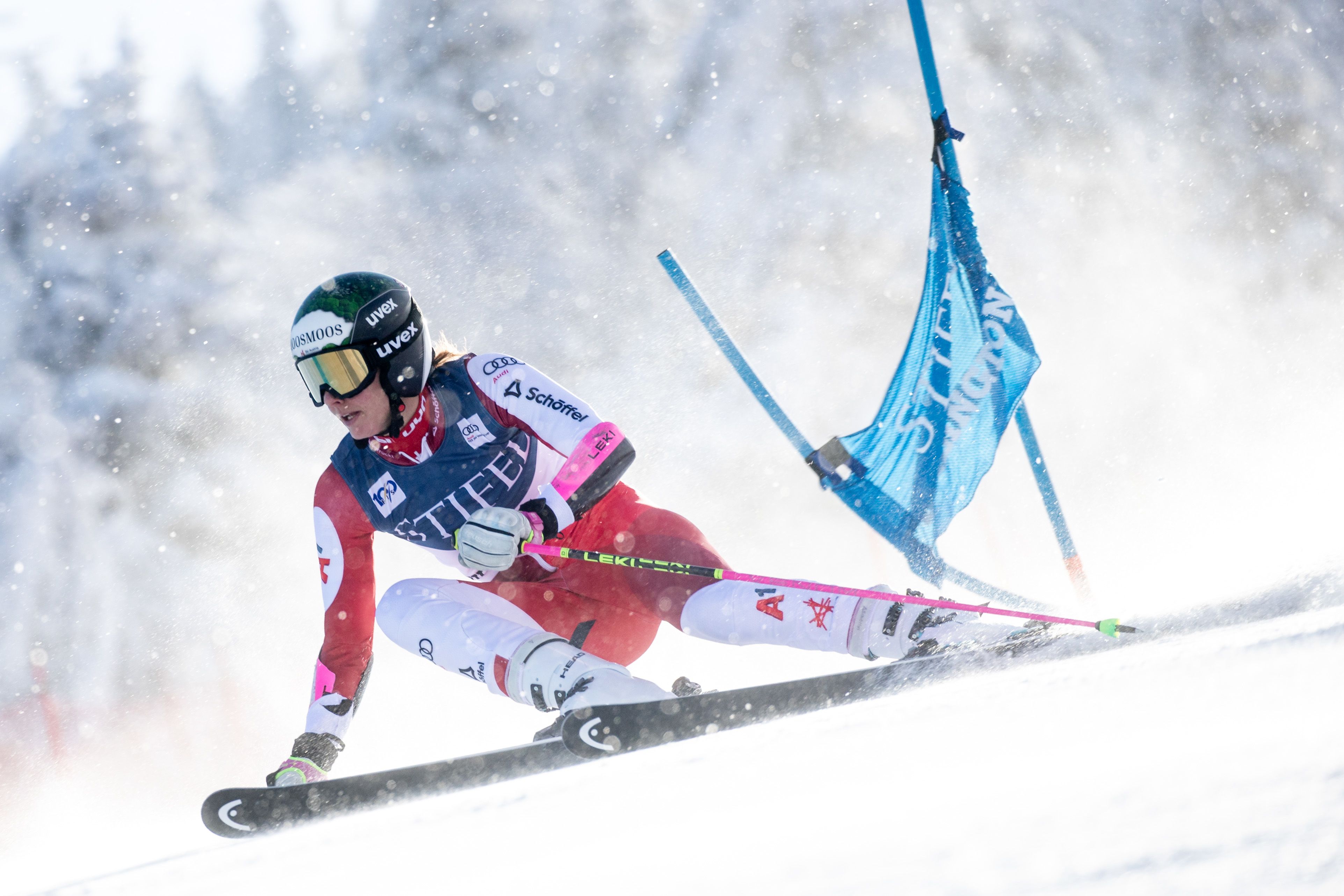 Österreichs Ski-Ass Elisabeth Kappaurer. 