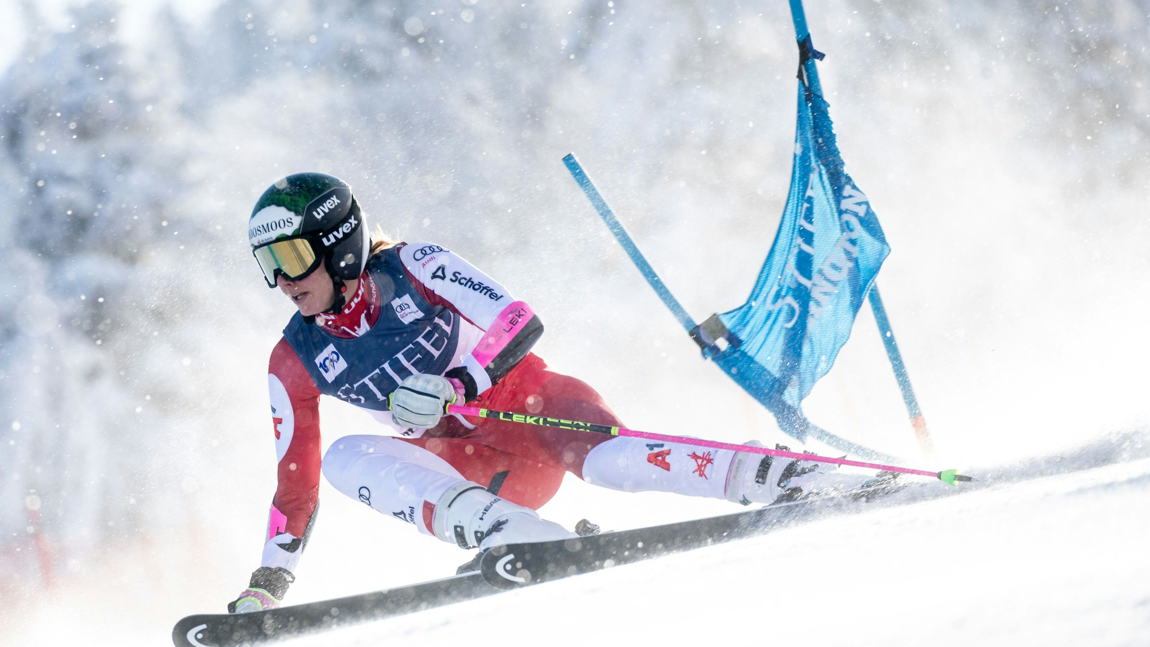 Österreichs Ski-Ass Elisabeth Kappaurer. 