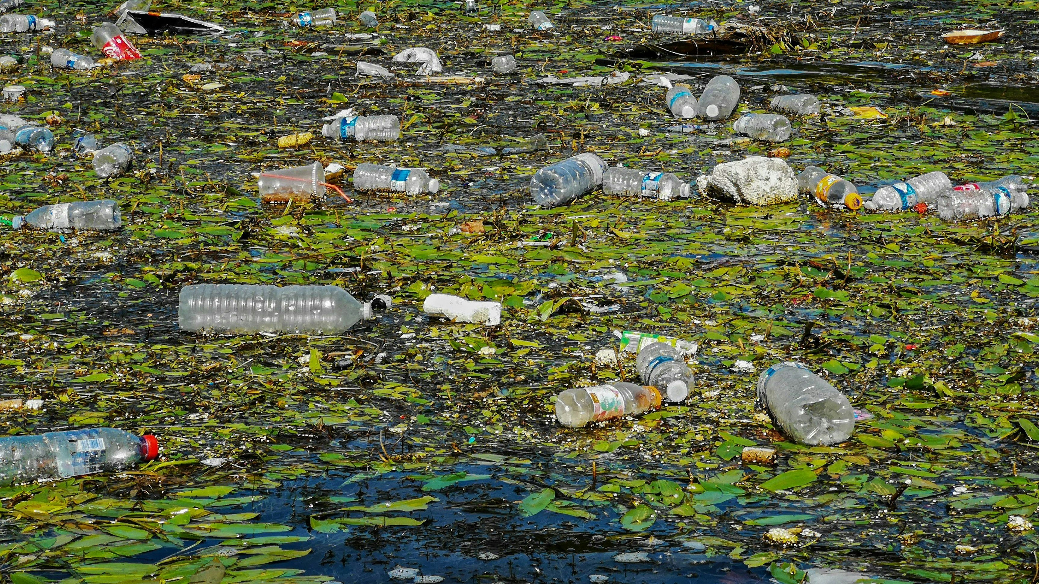 Kein schöner Anblick: Plastikflaschen sind der mit Abstand am häufigsten illegal entsorgte Müll in der EU